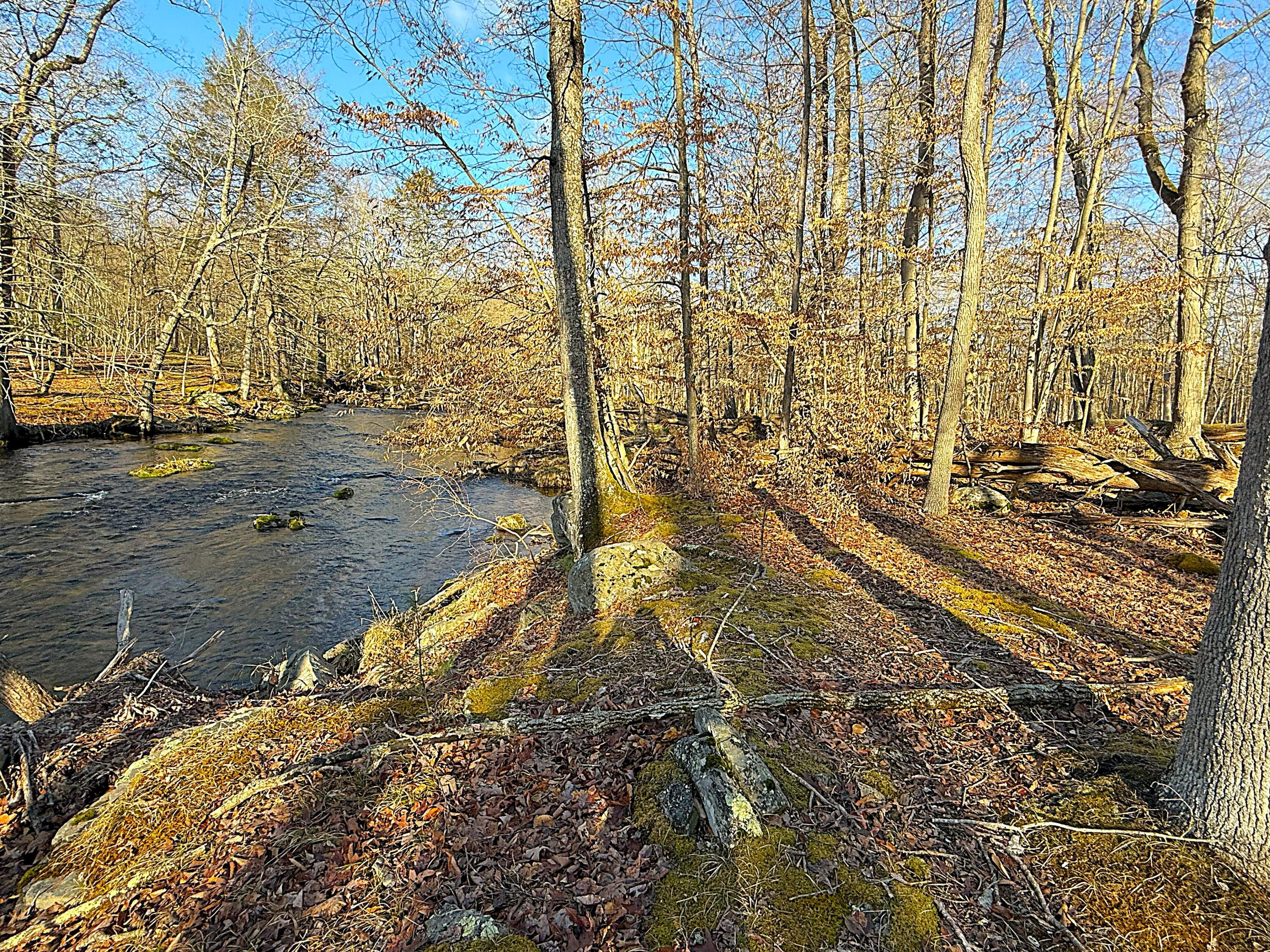 6486 Decker Road Property Photo 32