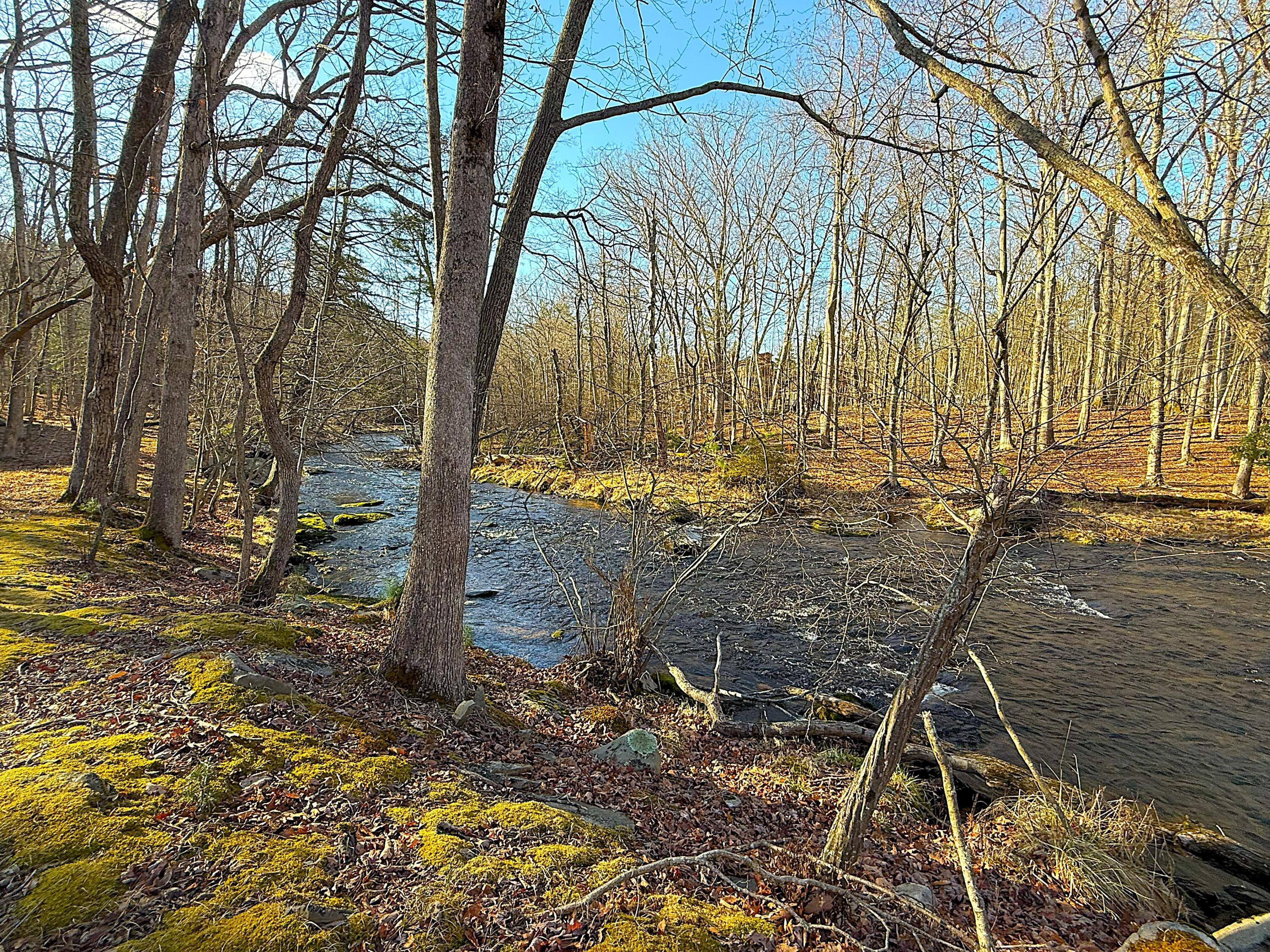6486 Decker Road Property Photo 34