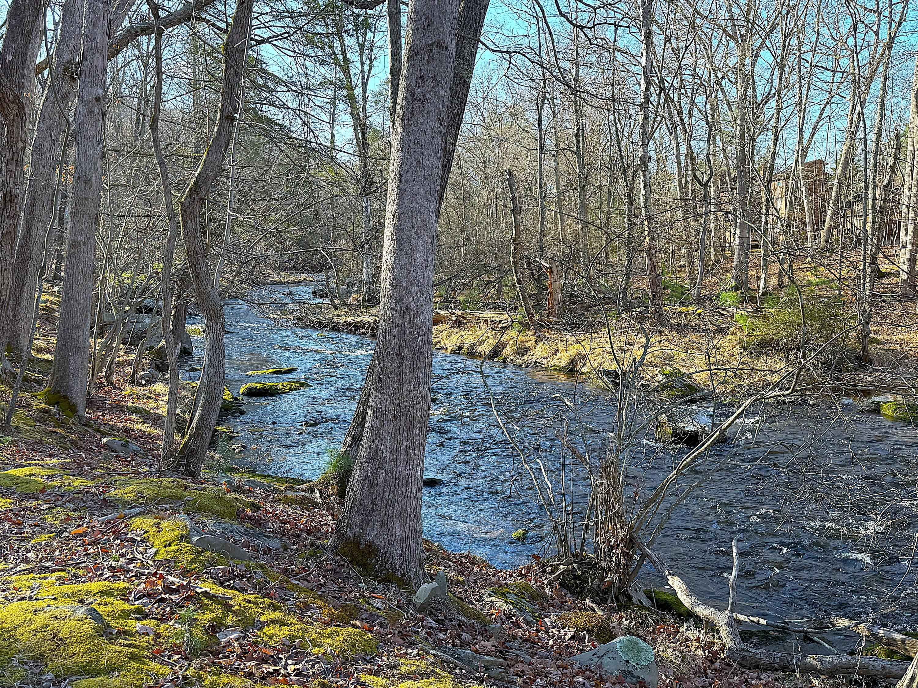 6486 Decker Road Property Photo 35