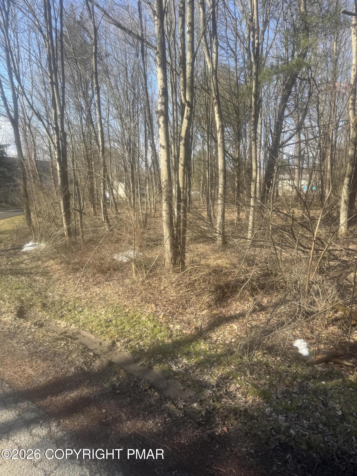 B14 Walnut Rd B Road Property Photo 3