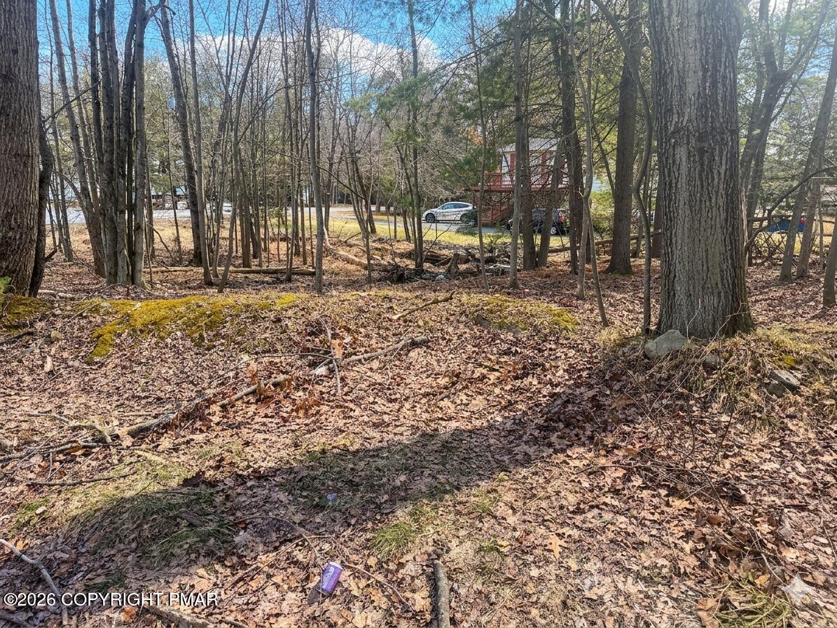 Thunder Ln 317 Drive Property Photo 1