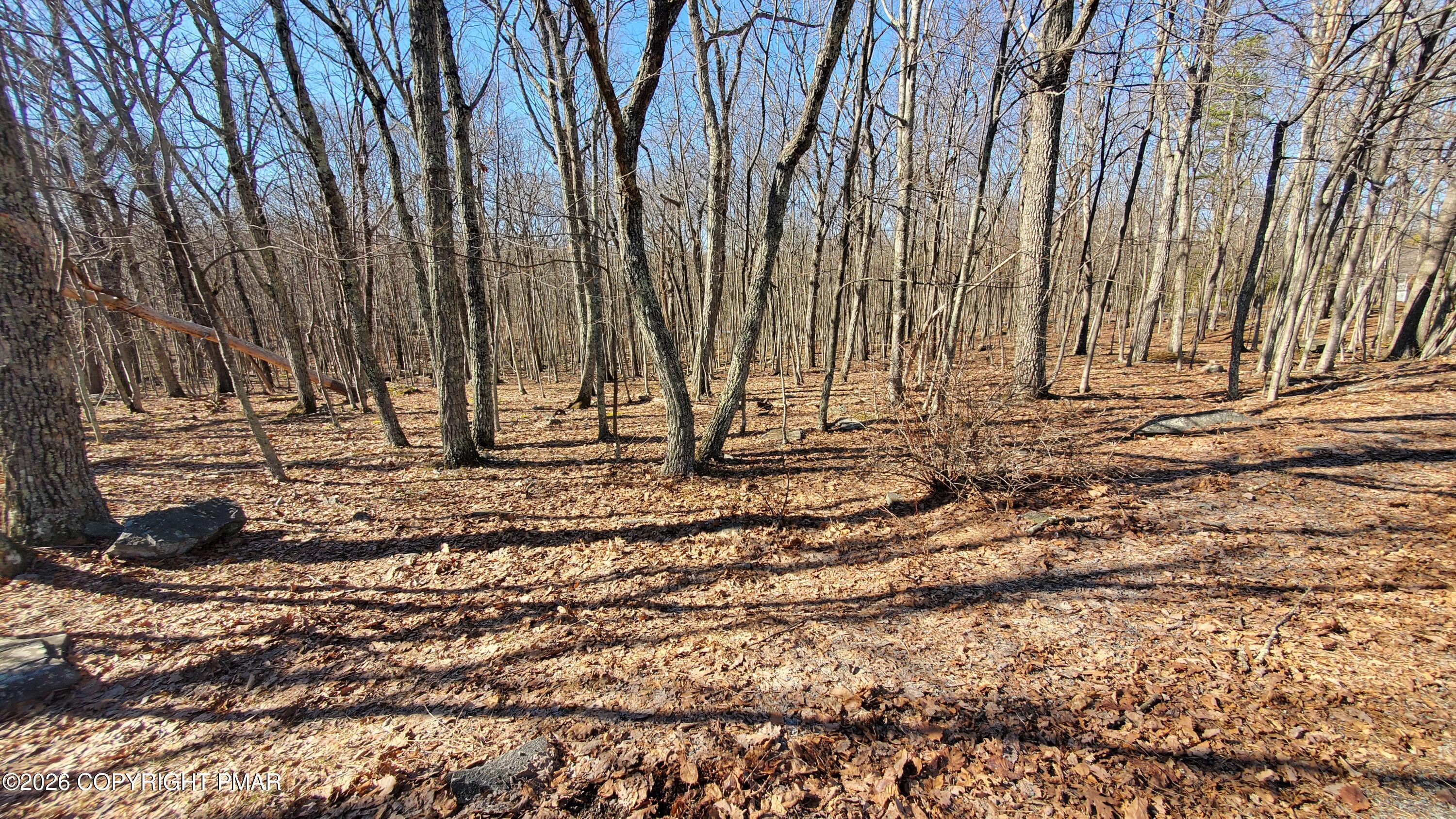 Lot 155 Cardinal Drive Property Photo 1
