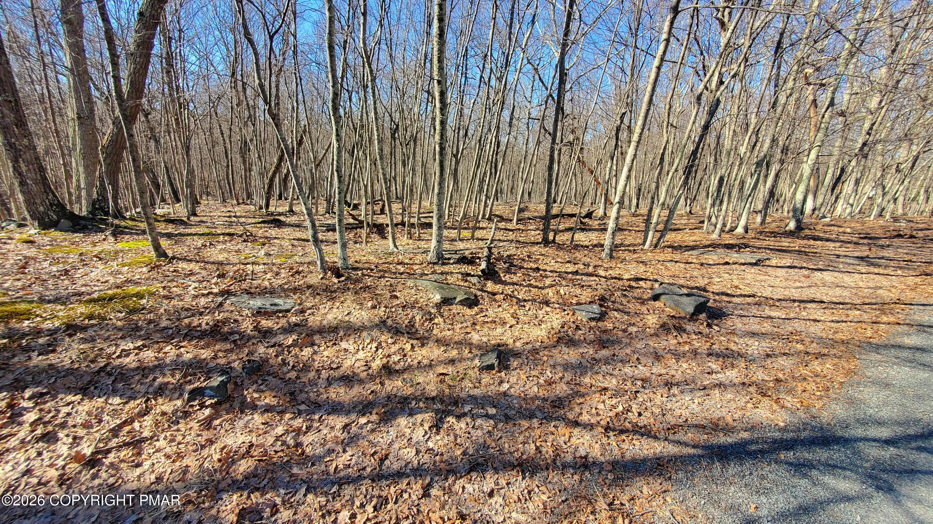 Lot 155 Cardinal Drive Property Photo 3