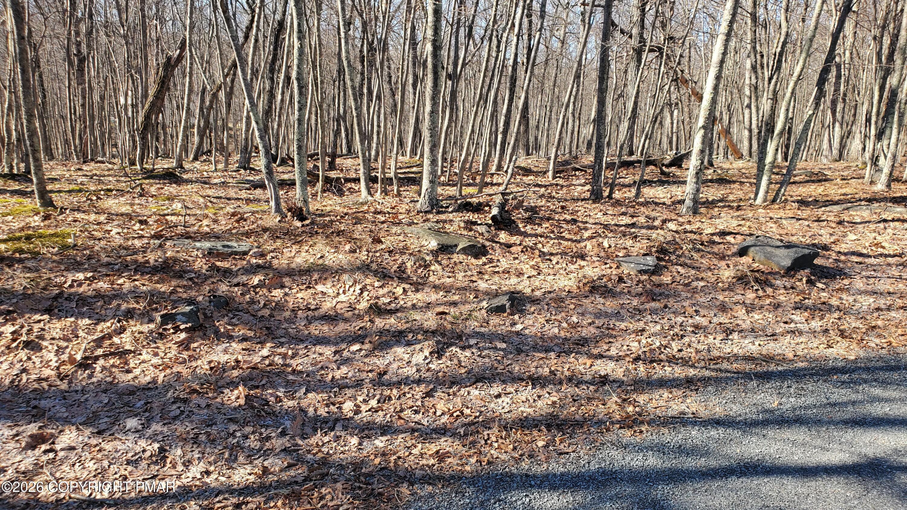 Lot 155 Cardinal Drive Property Photo 4