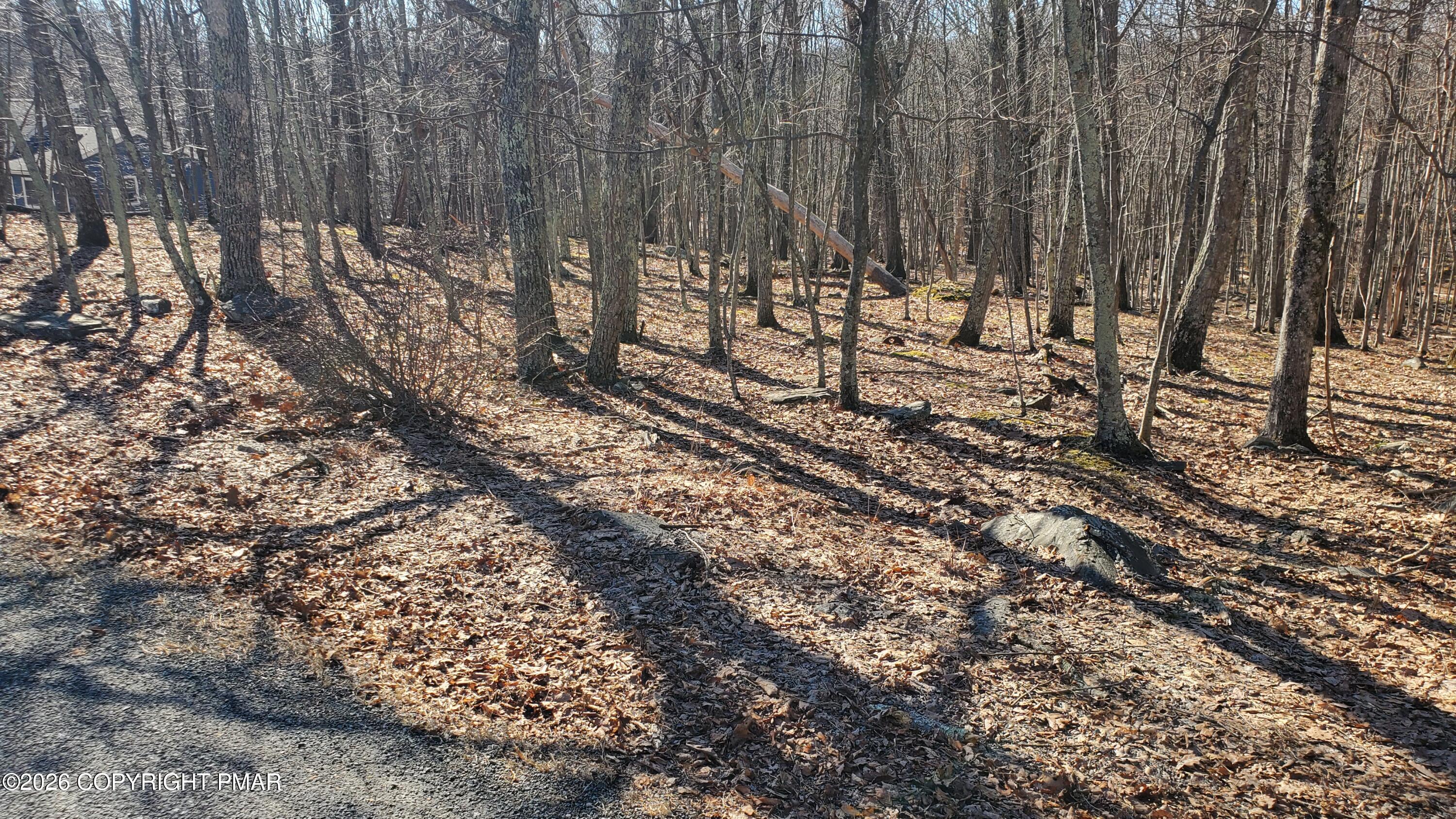 Lot 155 Cardinal Drive Property Photo 5