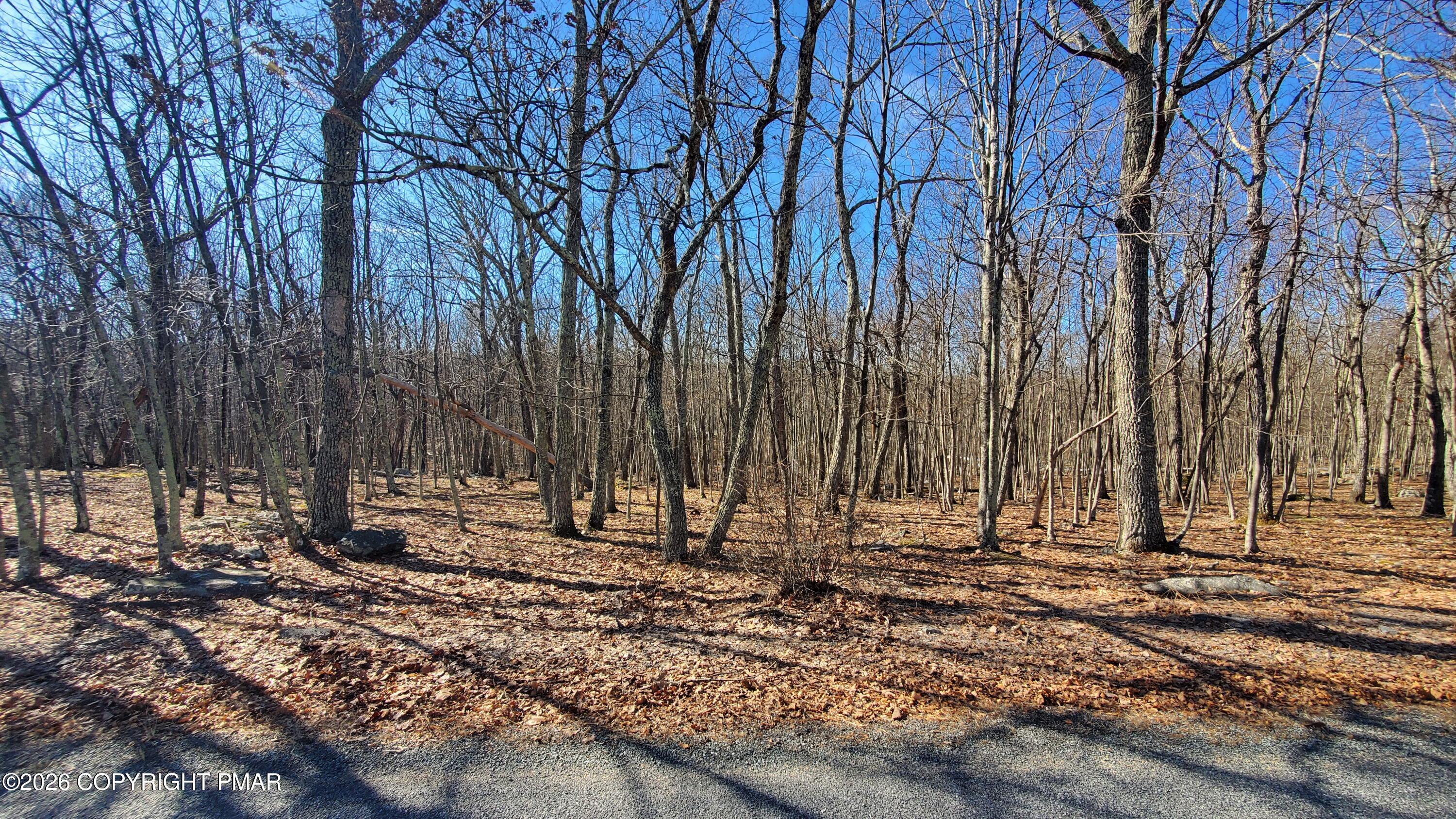 Lot 155 Cardinal Drive Property Photo 6