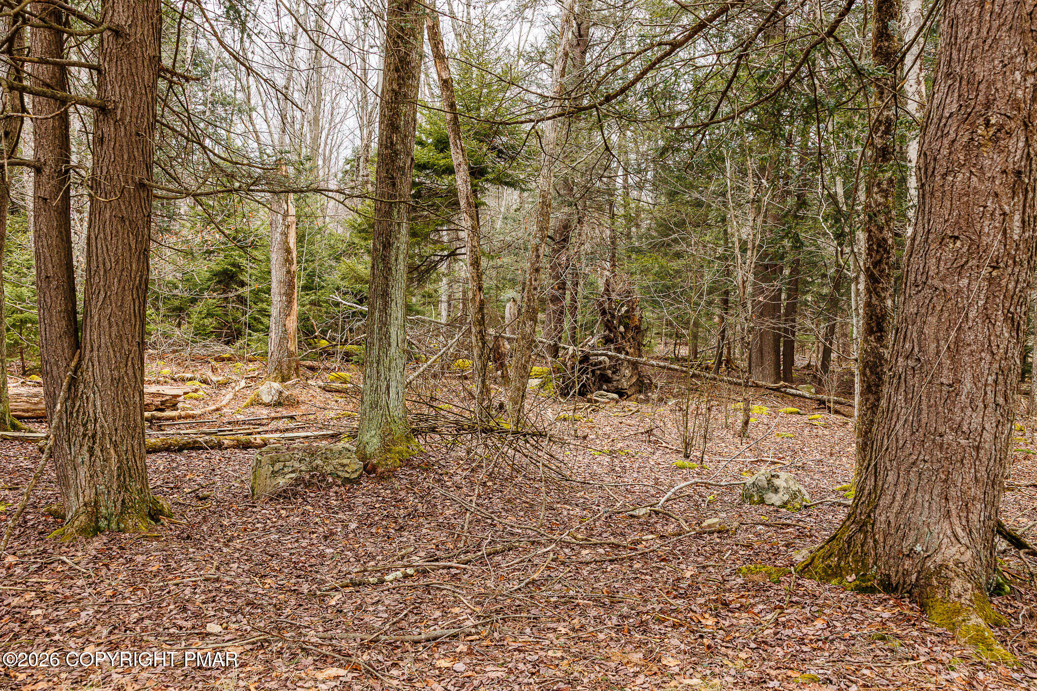5211 Fir Lane Property Photo 29