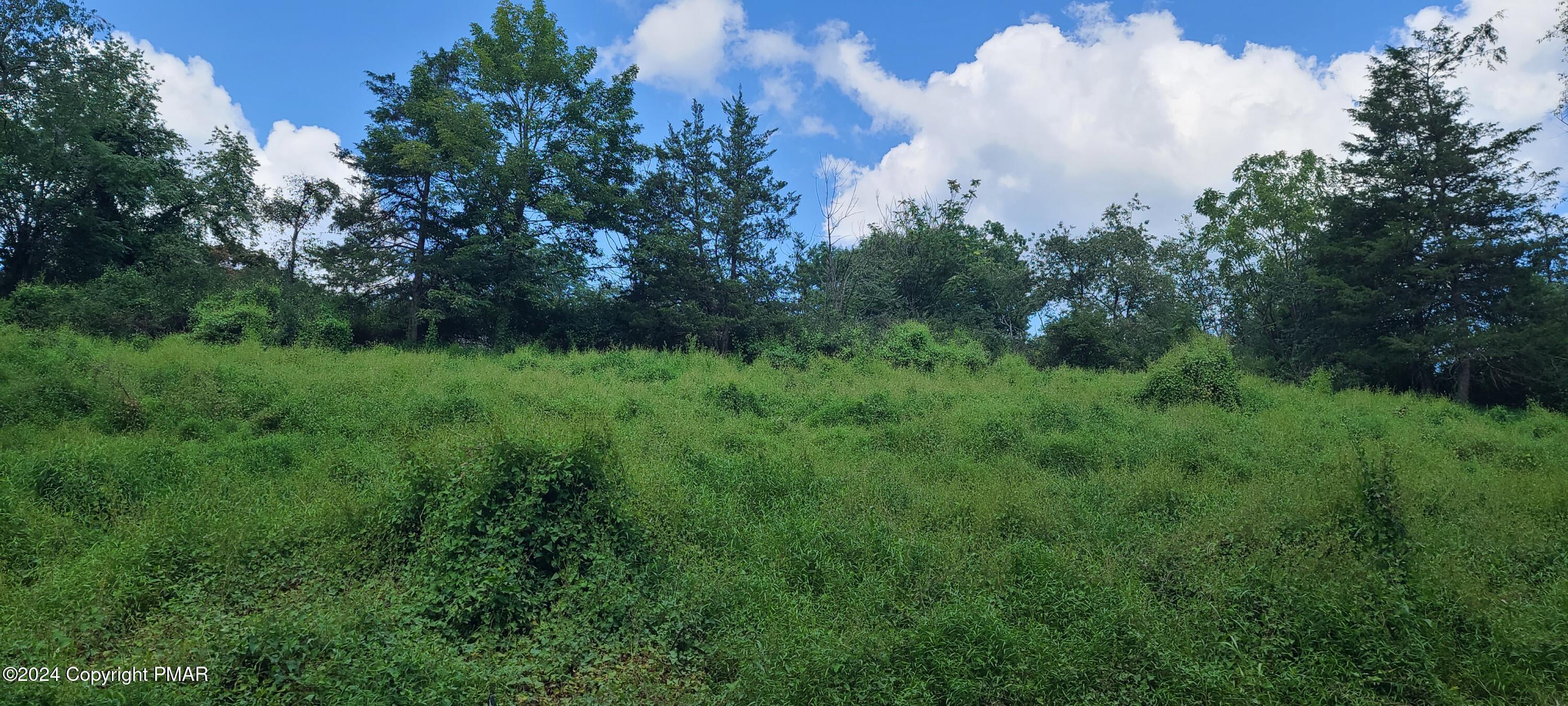 Lot Edgemont Rd Road Property Photo 1