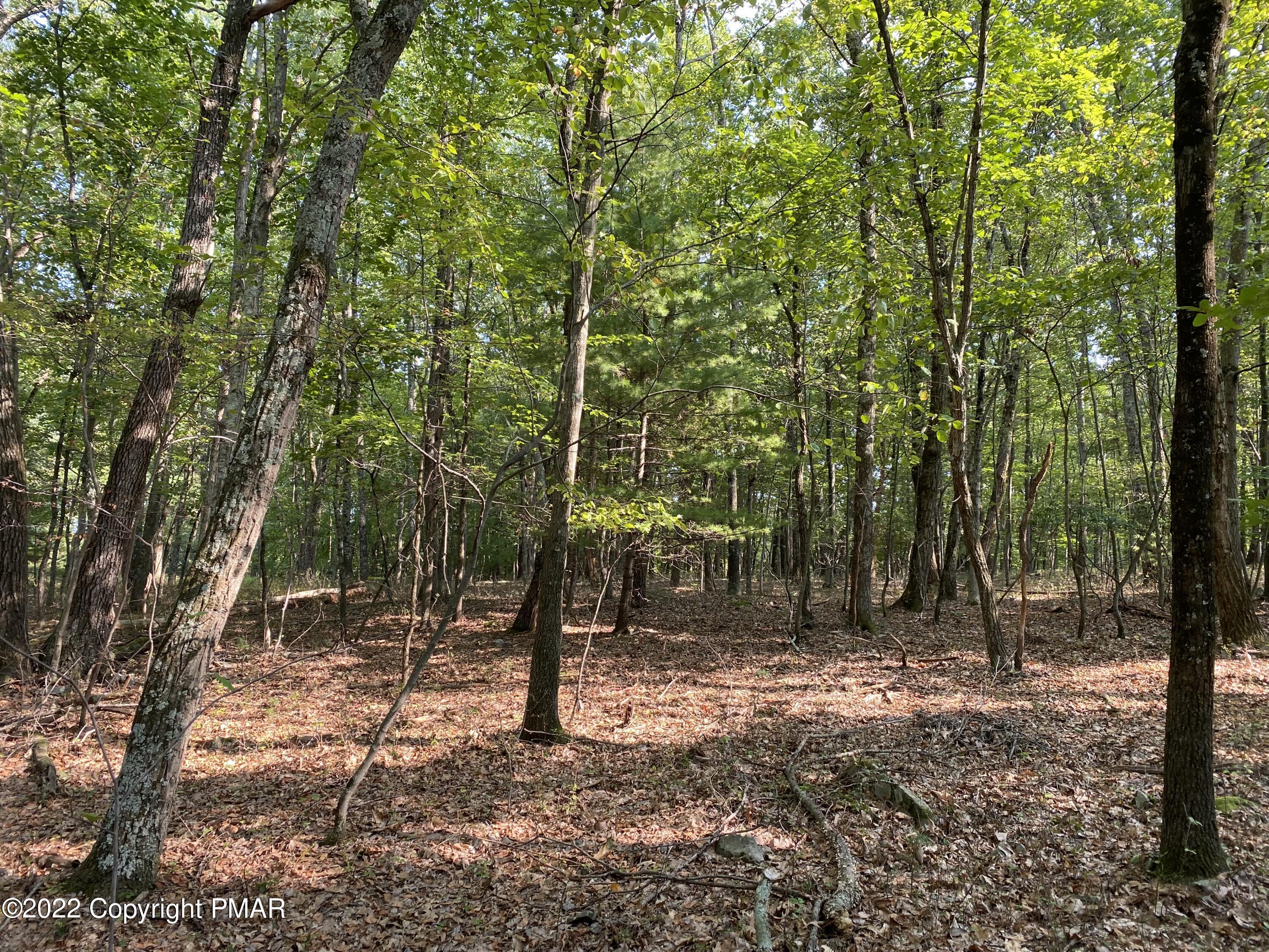 Lot 11 Metzger Road Property Photo 1