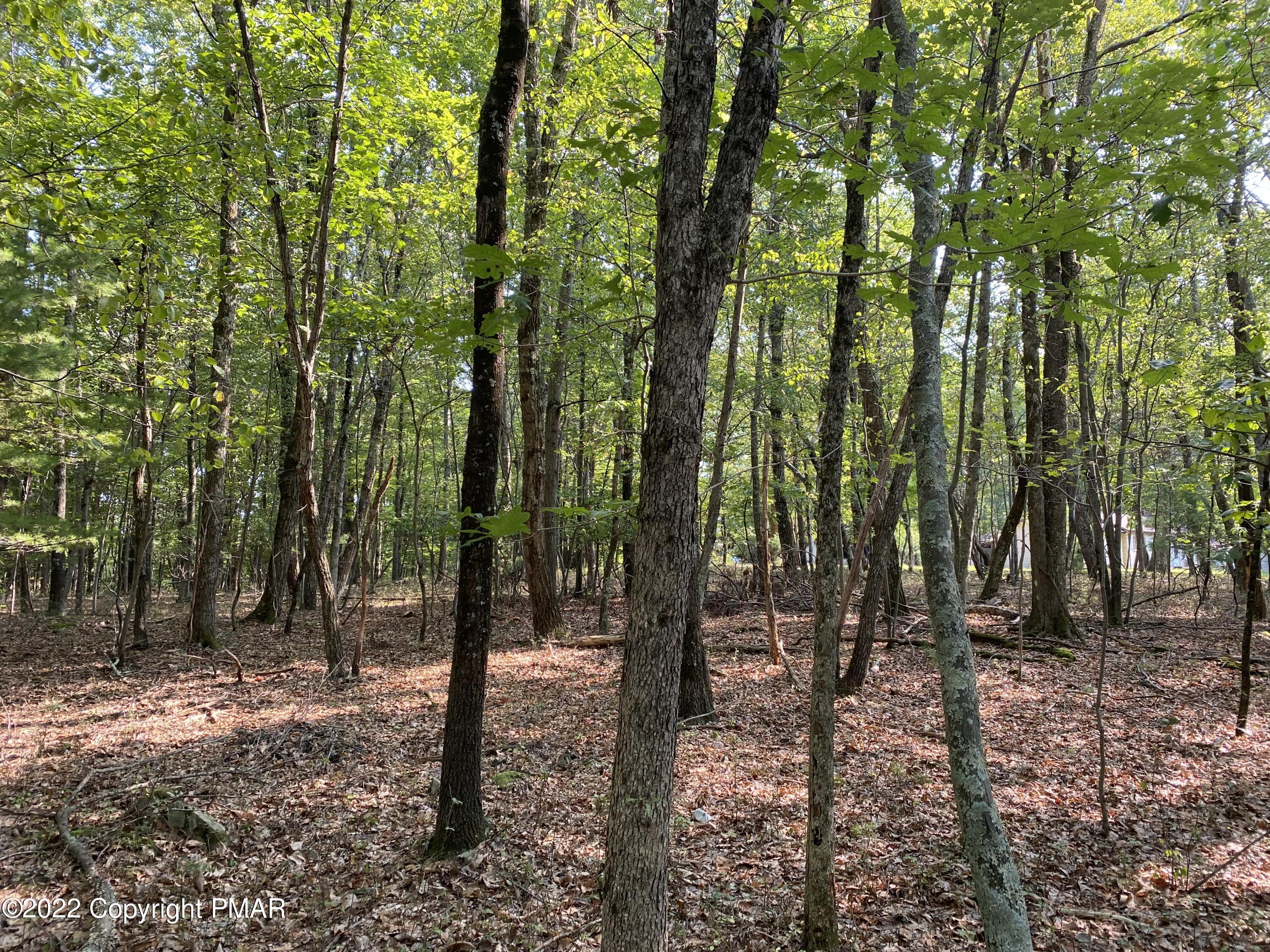 Lot 11 Metzger Road Property Photo 3