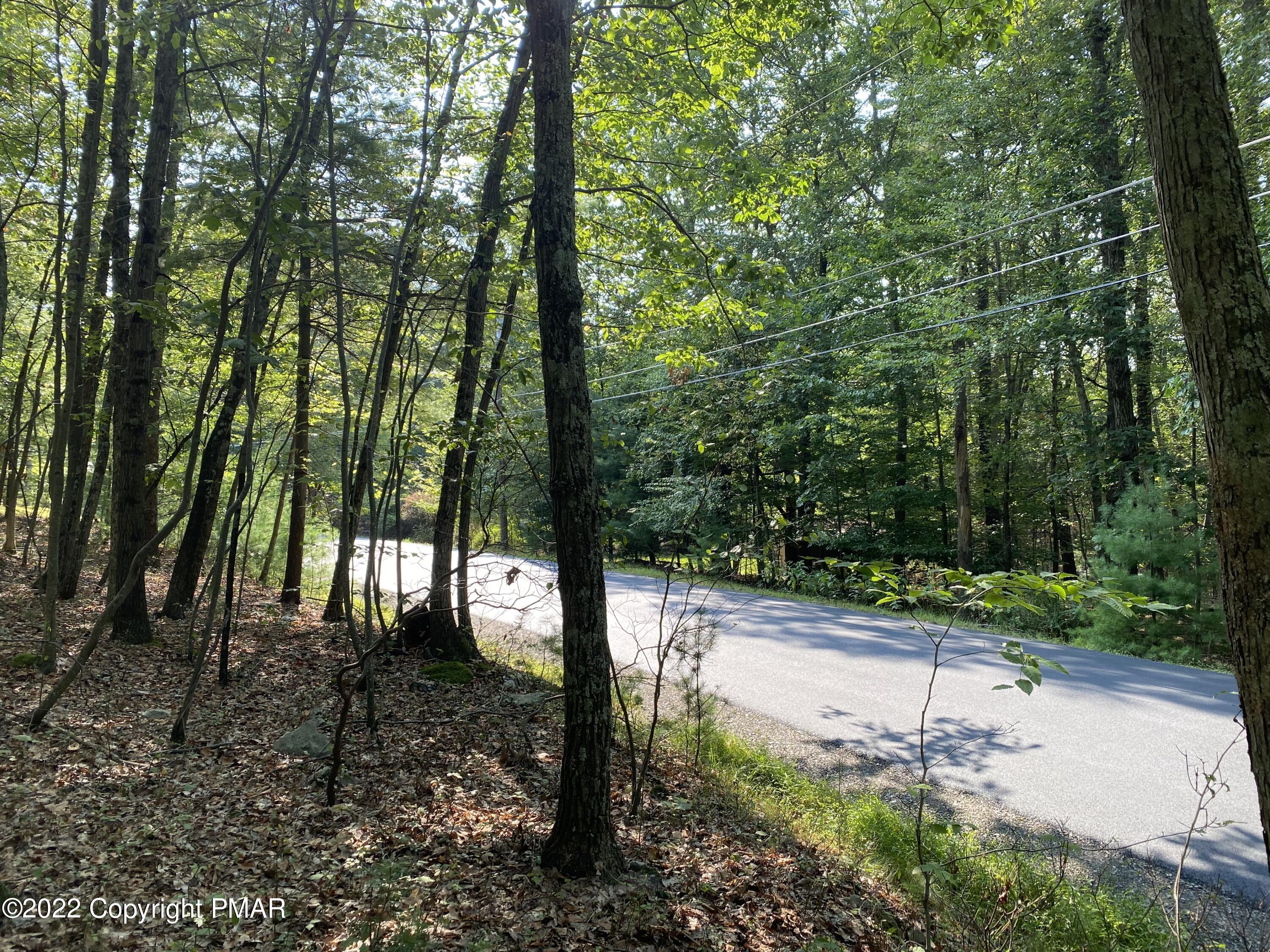 Lot 11 Metzger Road Property Photo 4