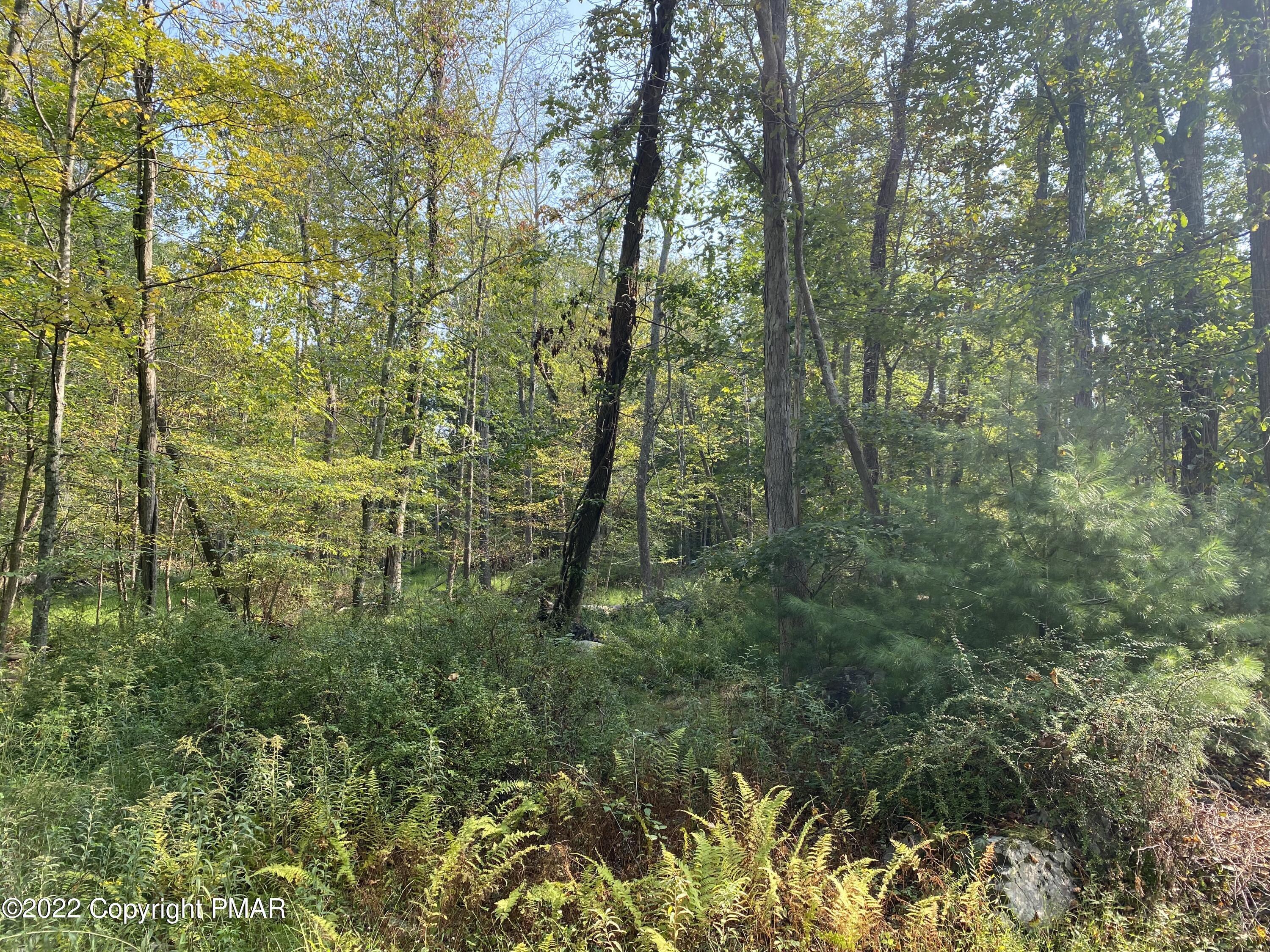 Lot 11 Metzger Road Property Photo 6