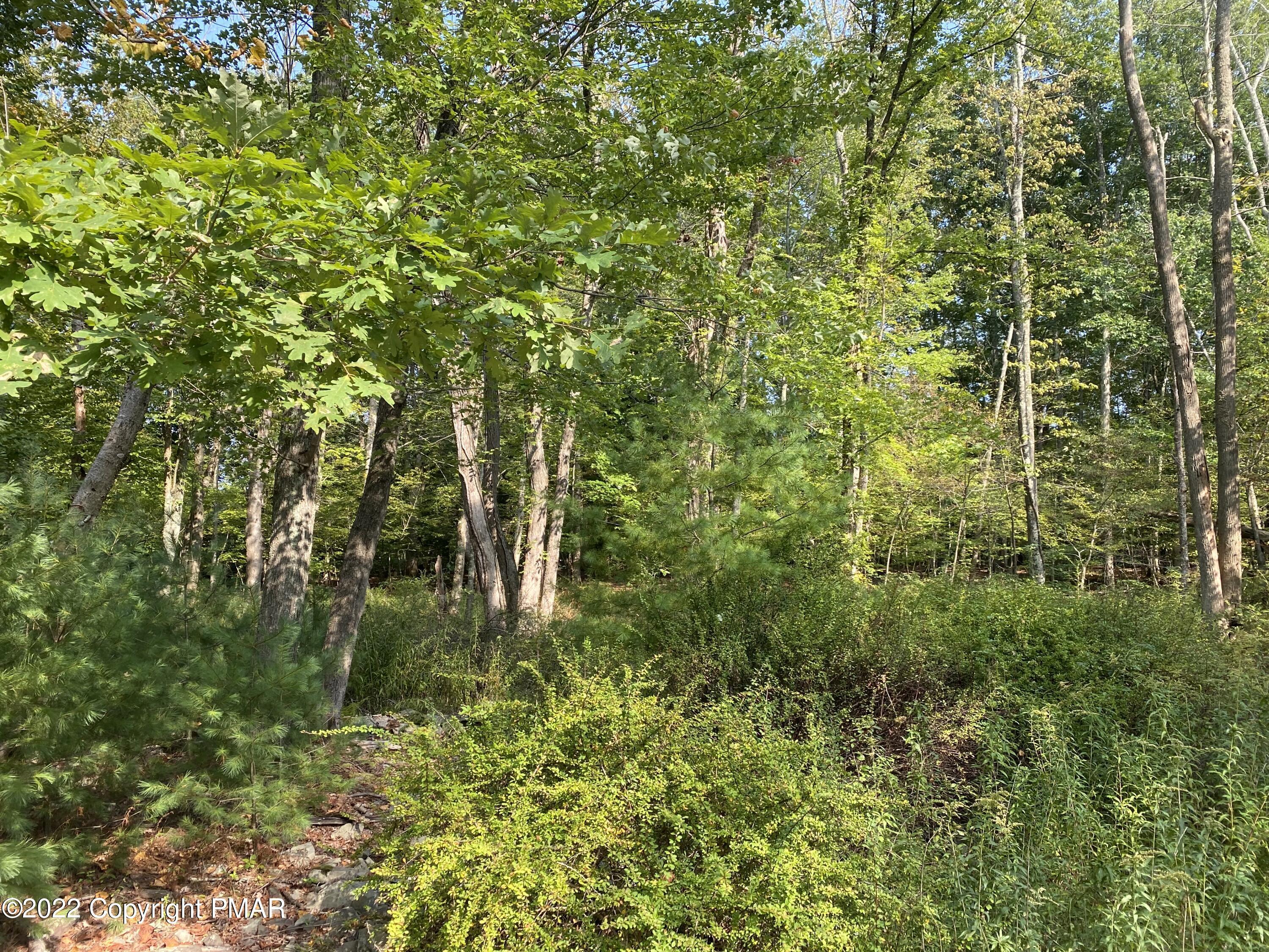 Lot 11 Metzger Road Property Photo 7