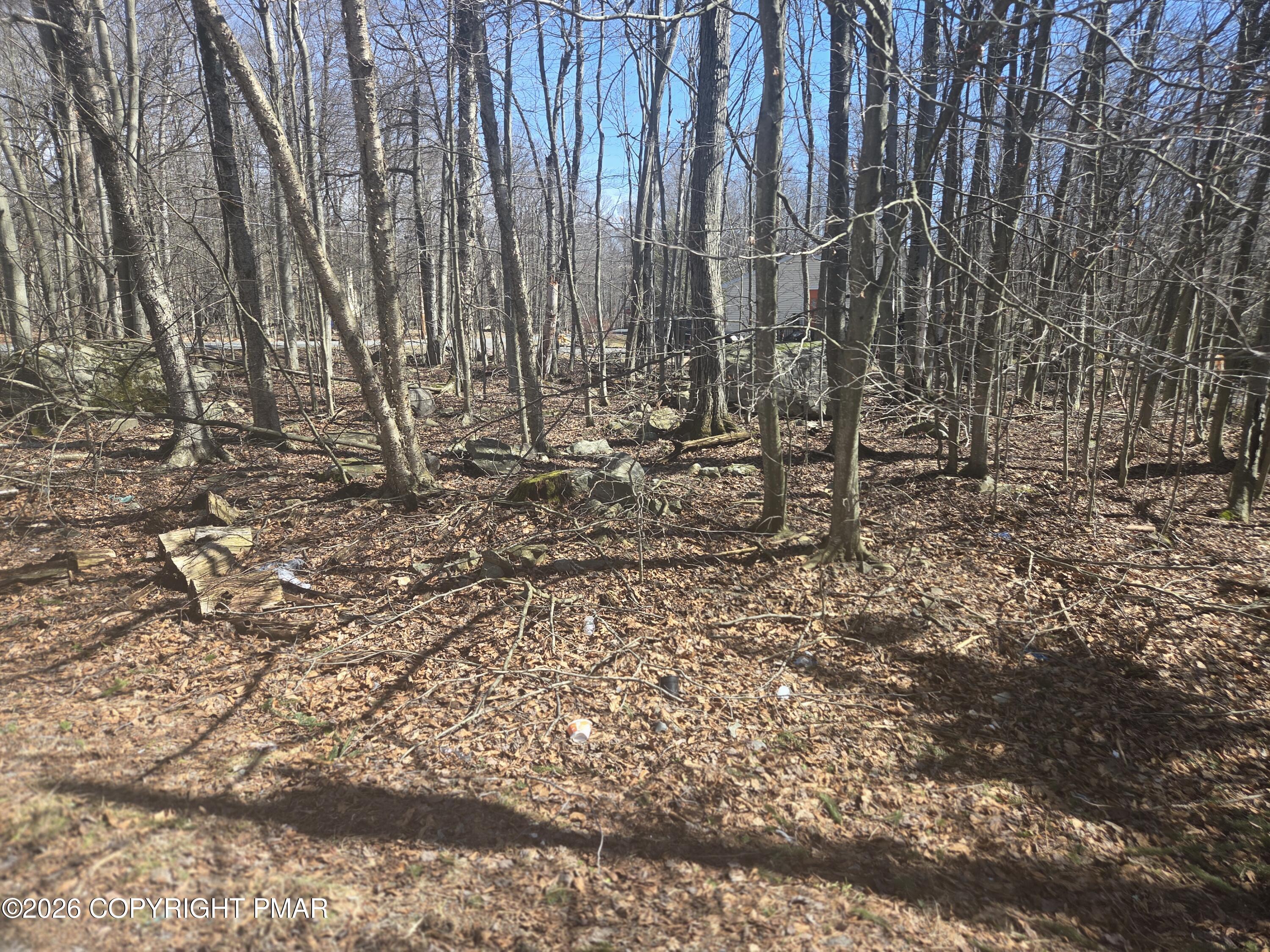 Chipmunk Drive Property Photo 3