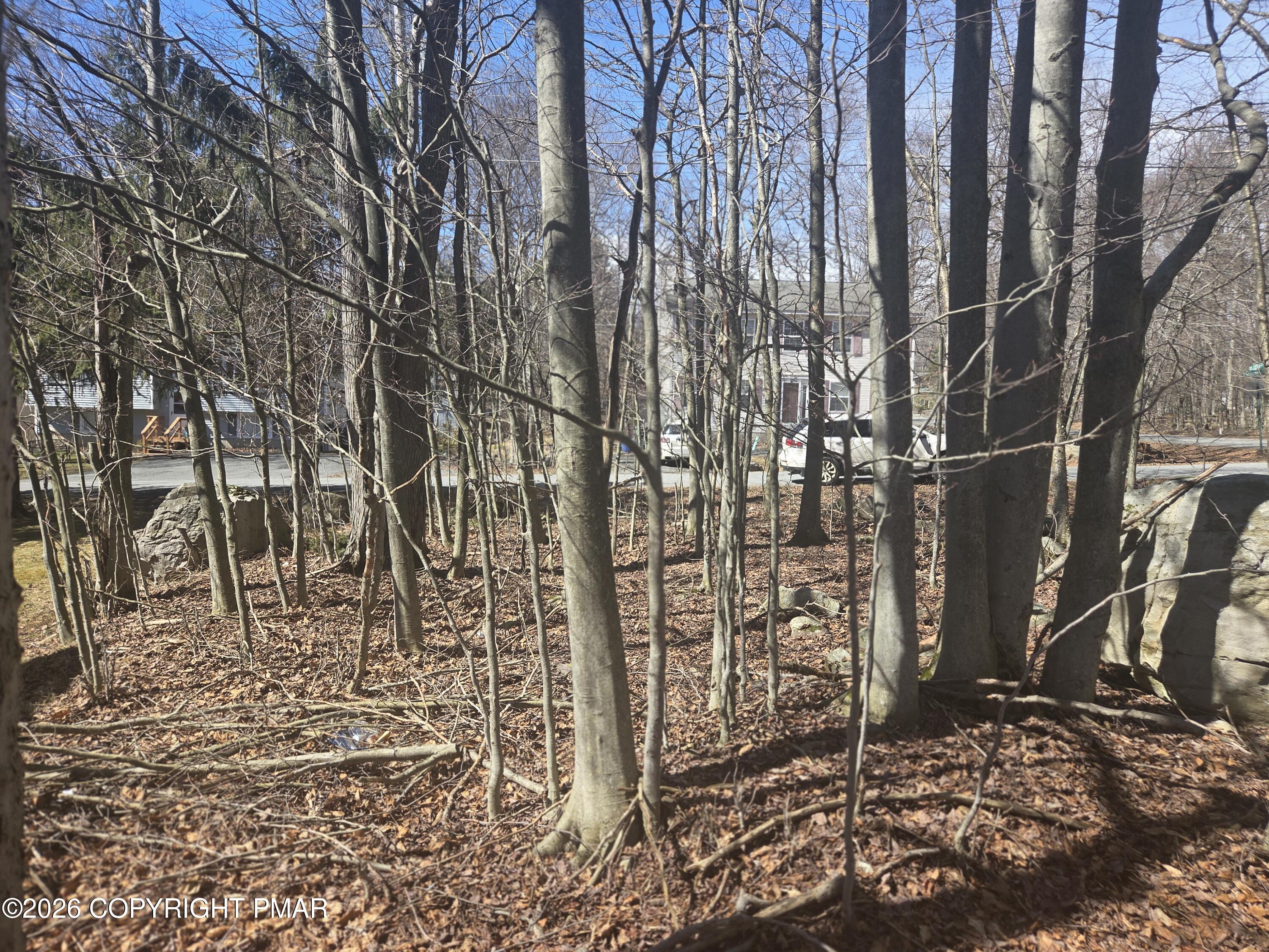 Chipmunk Drive Property Photo 4