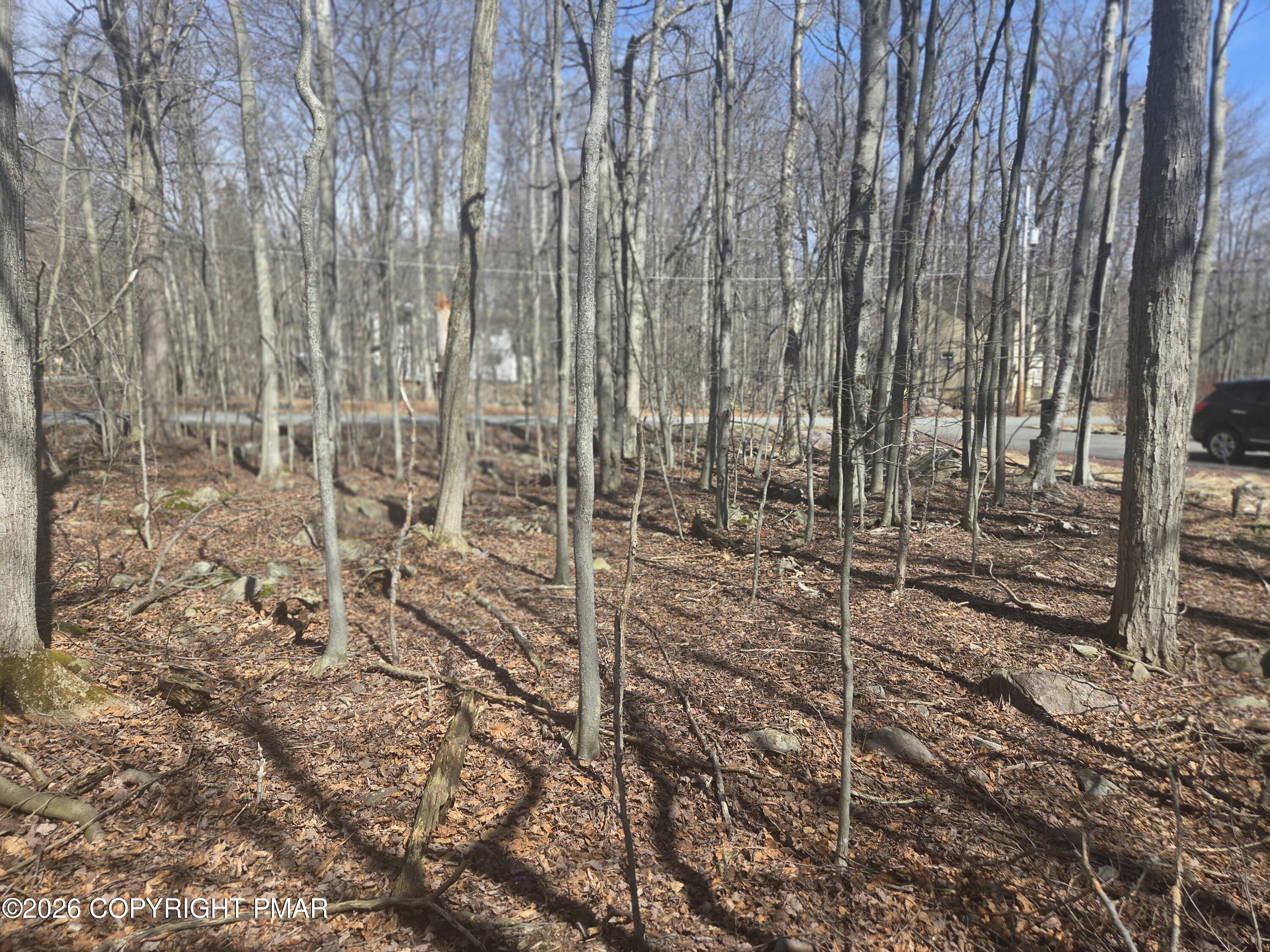 Chipmunk Drive Property Photo 5