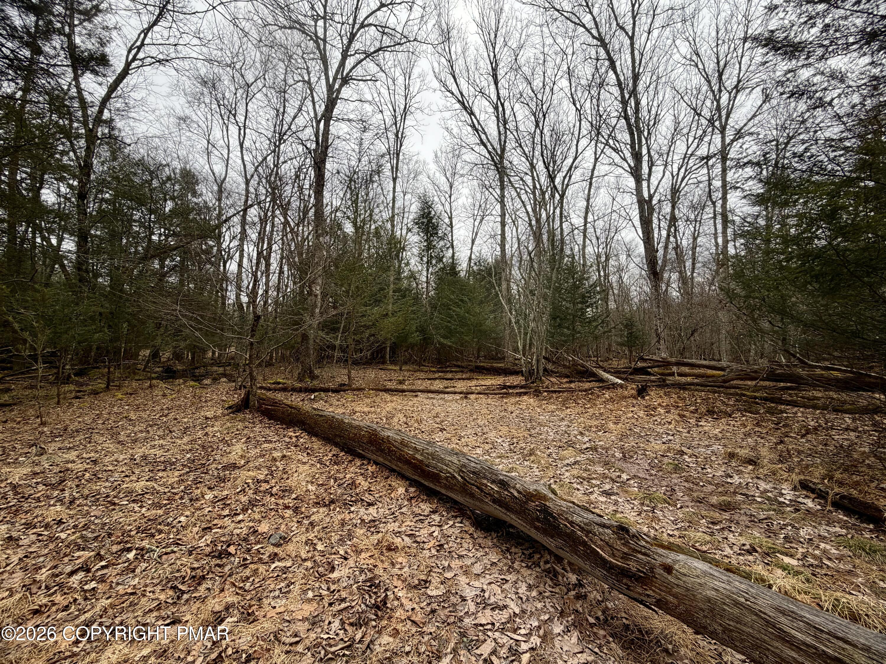1374 Spruce Drive Property Photo 5