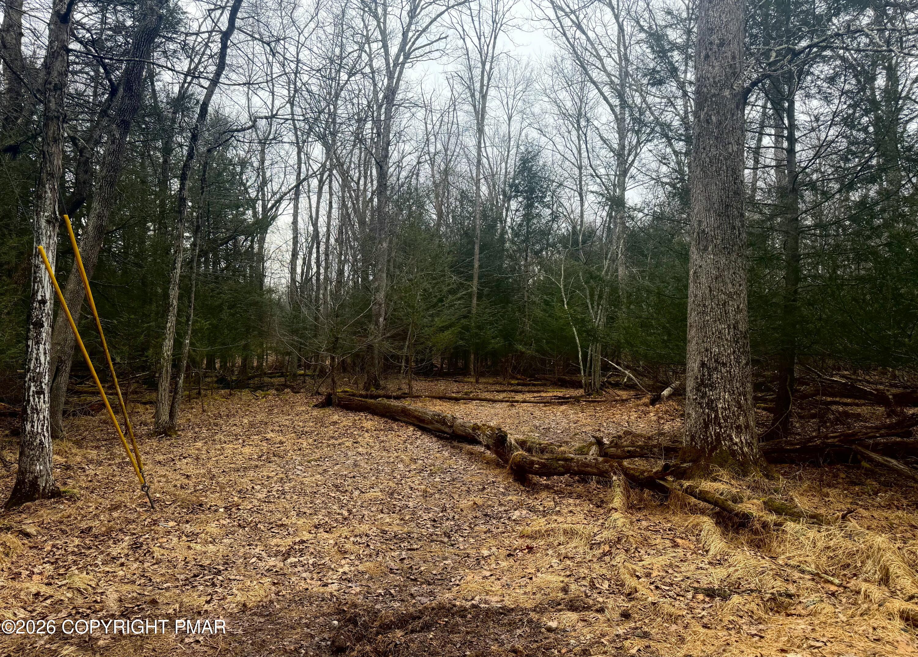 1374 Spruce Drive Property Photo 6