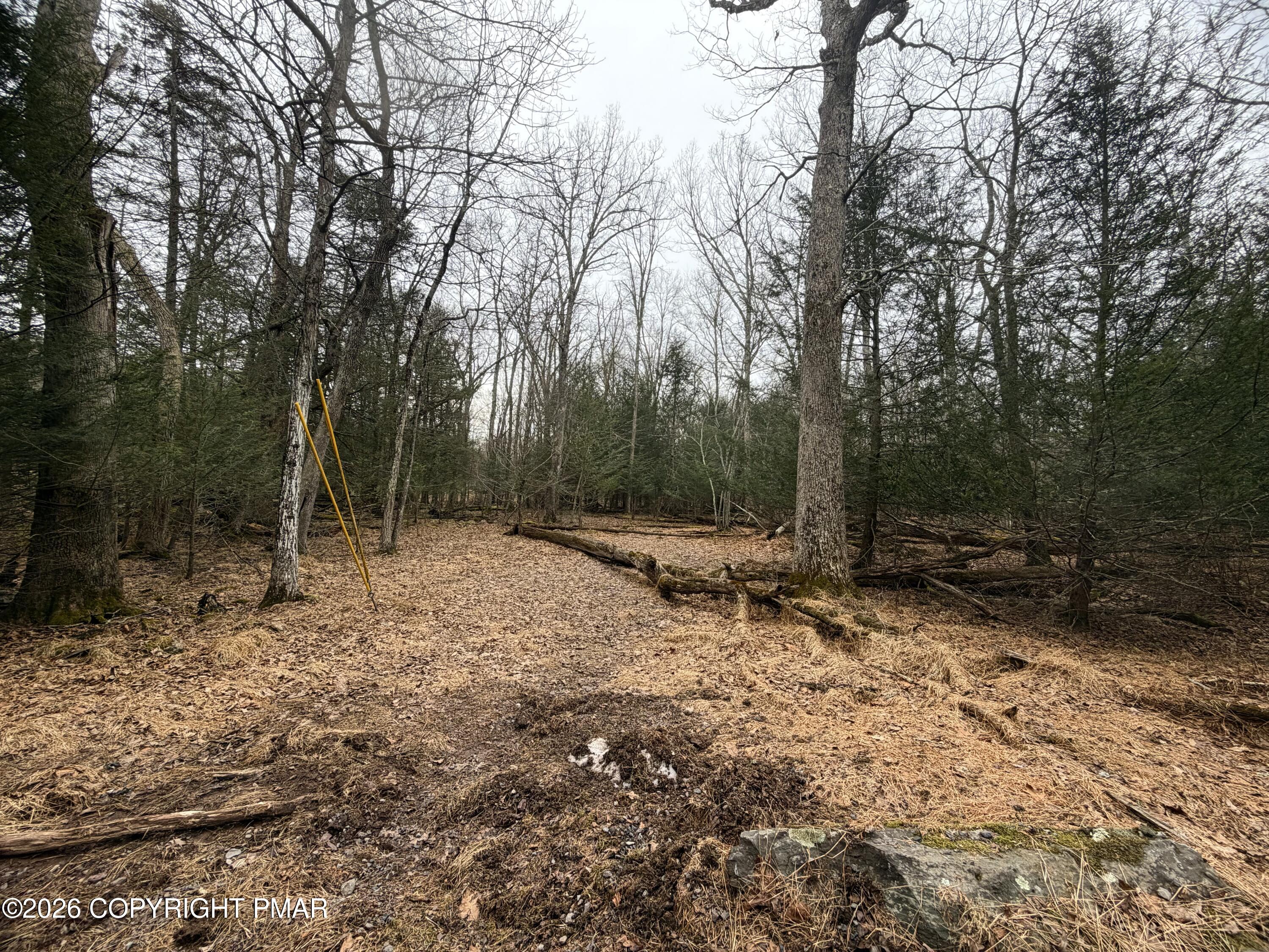 1374 Spruce Drive Property Photo 7