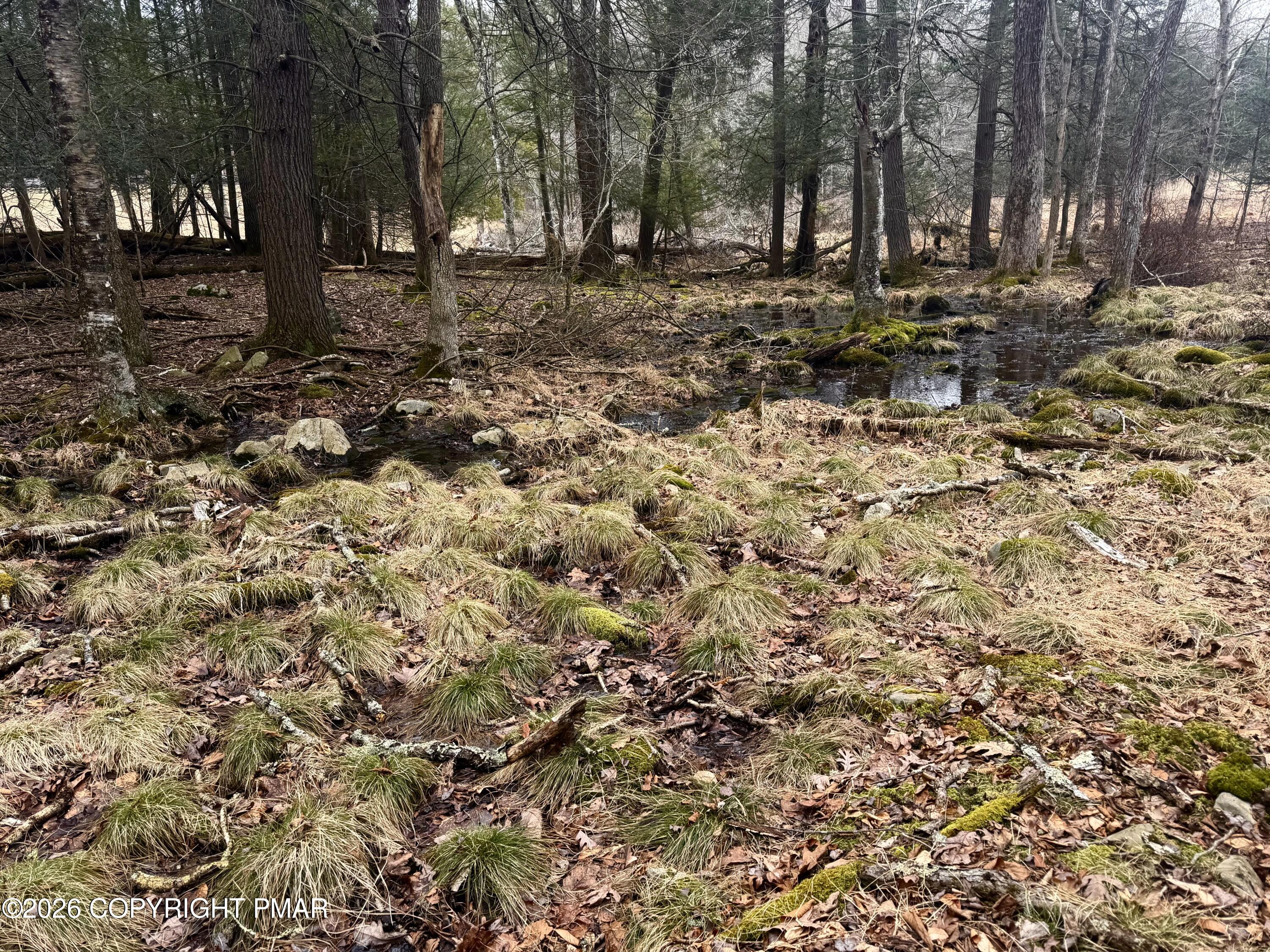 1374 Spruce Drive Property Photo 8