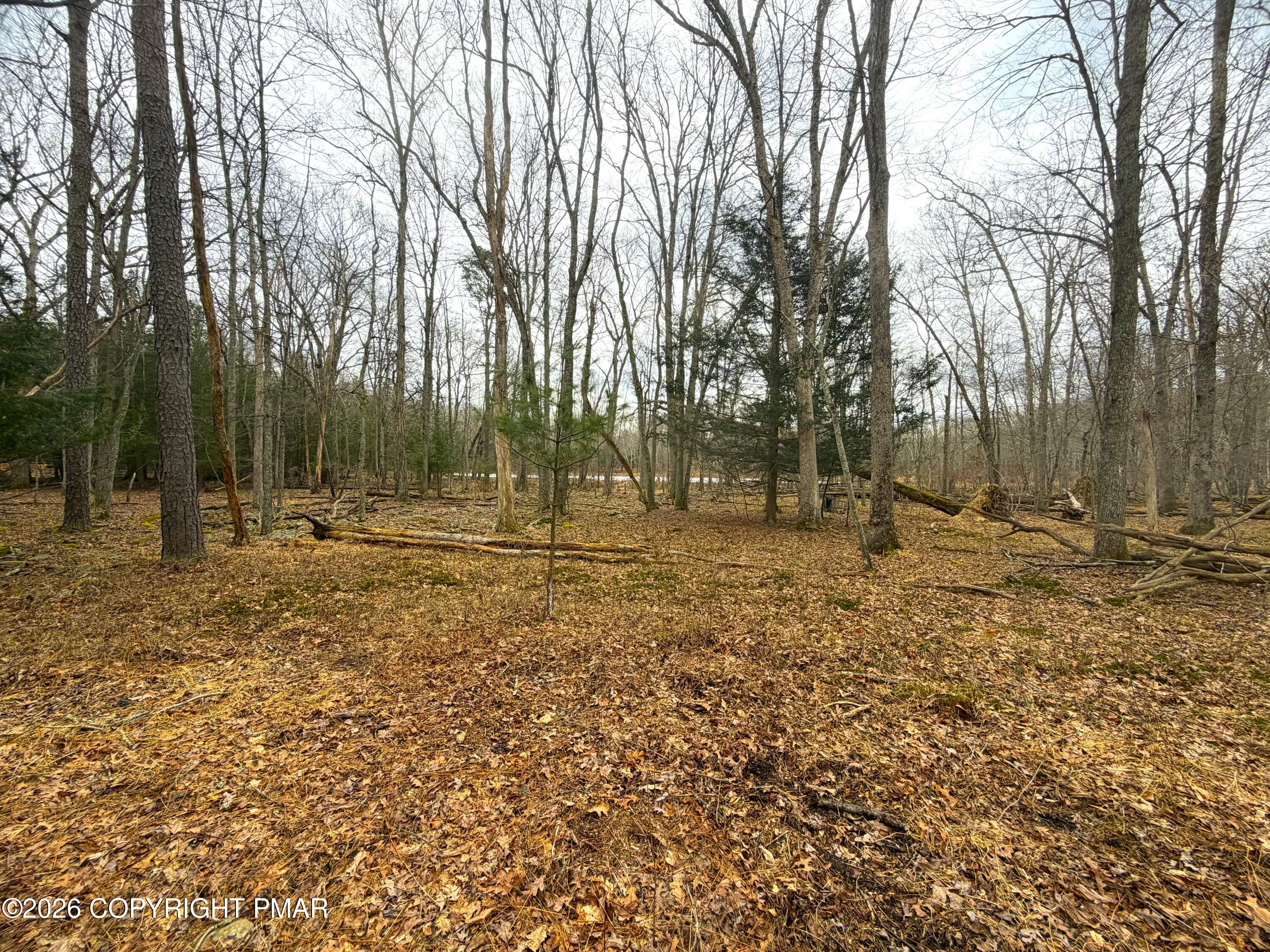 1374 Spruce Drive Property Photo 9
