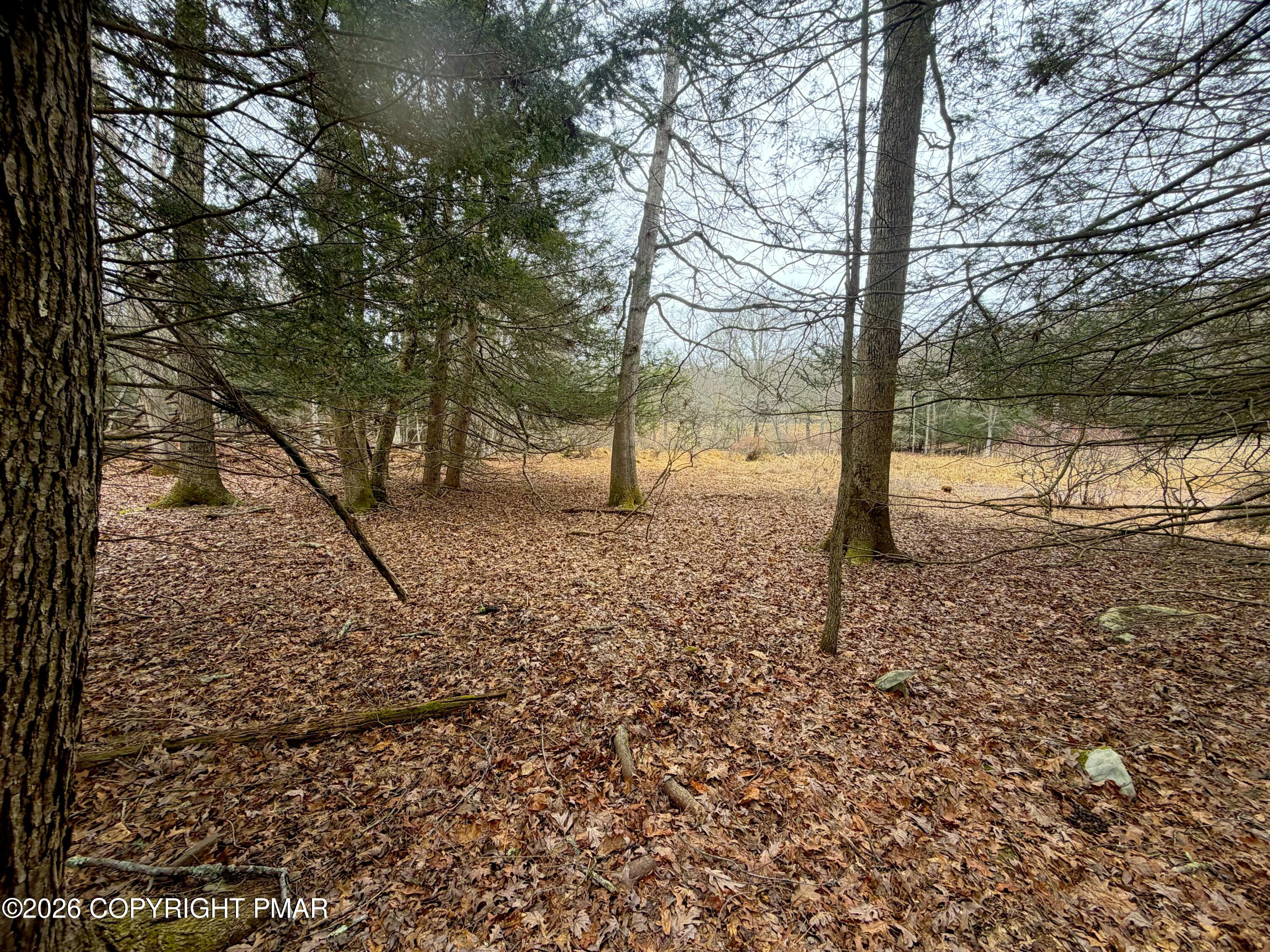 1374 Spruce Drive Property Photo 10