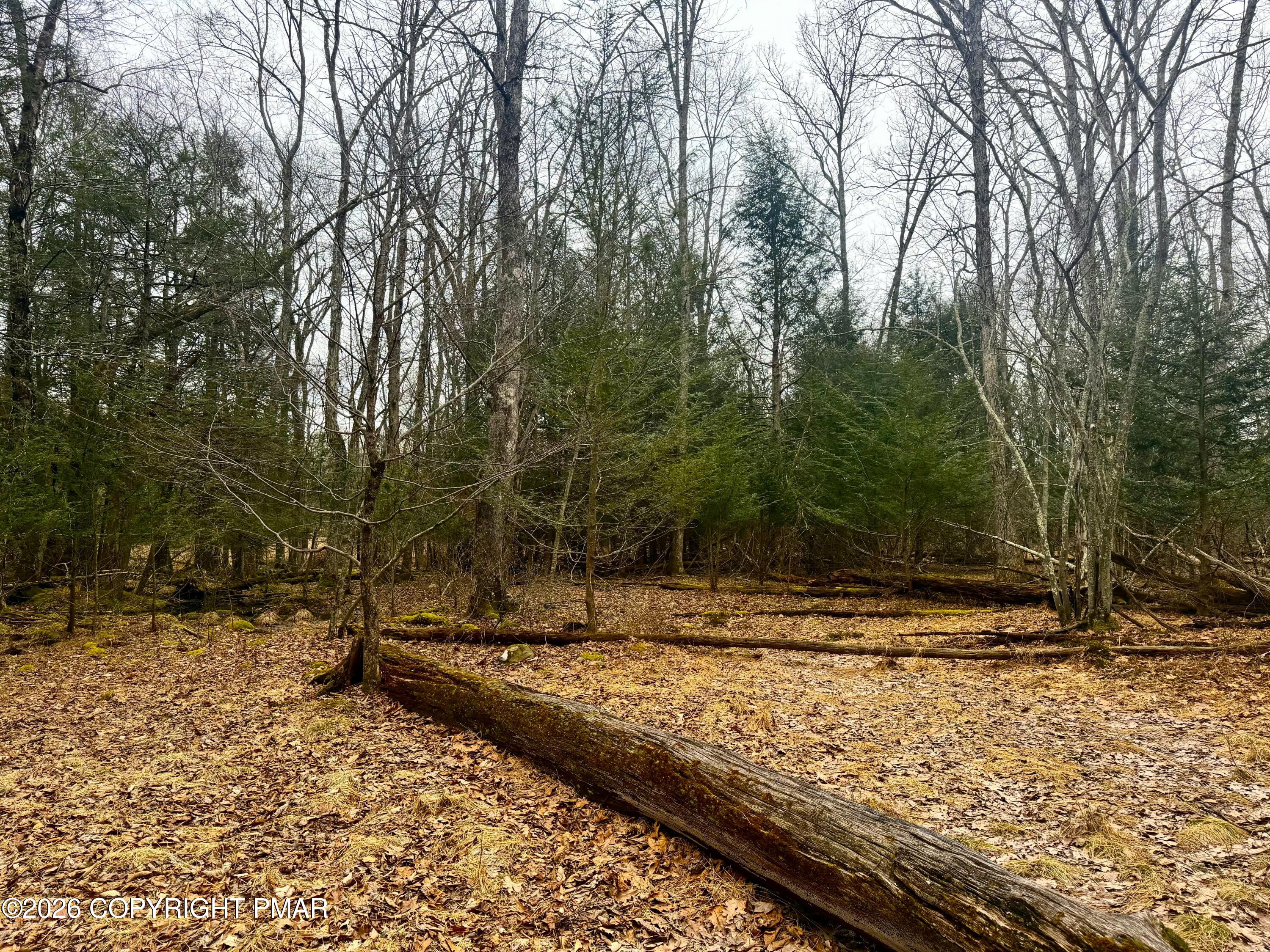 1374 Spruce Drive Property Photo 11