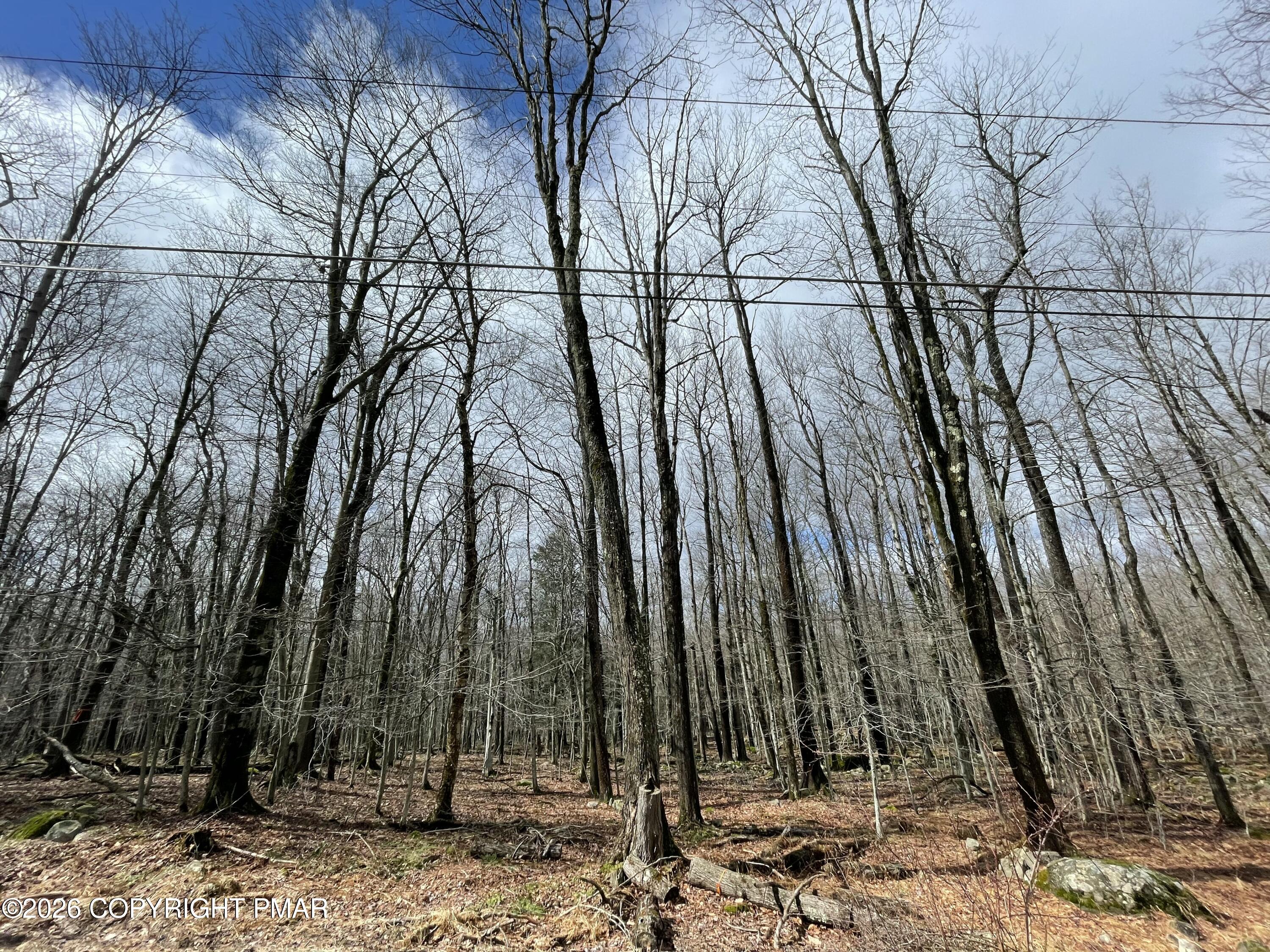 46 Tuscarora Trail Property Photo 1