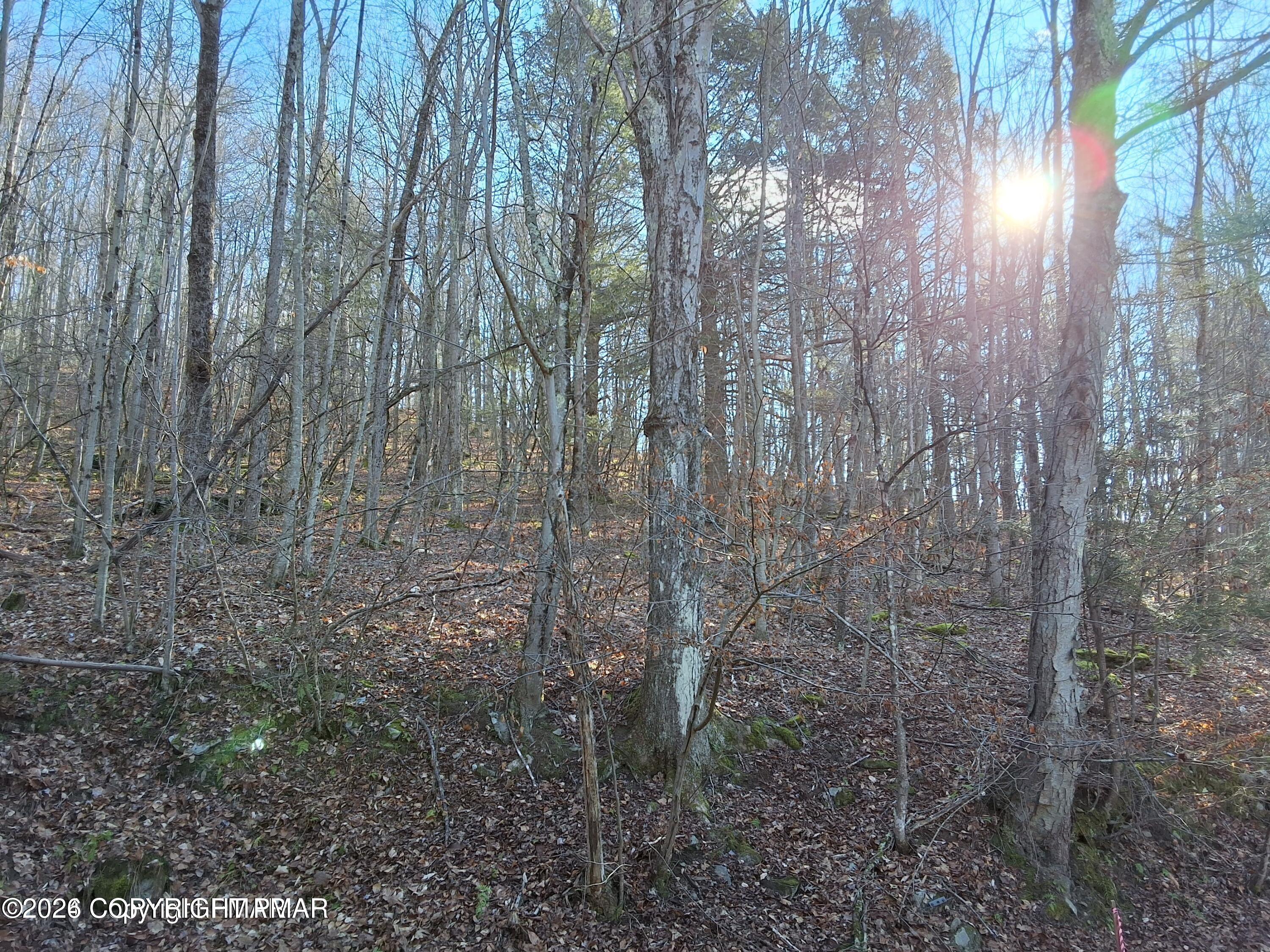 45 Grocery Hill Road Property Photo 37