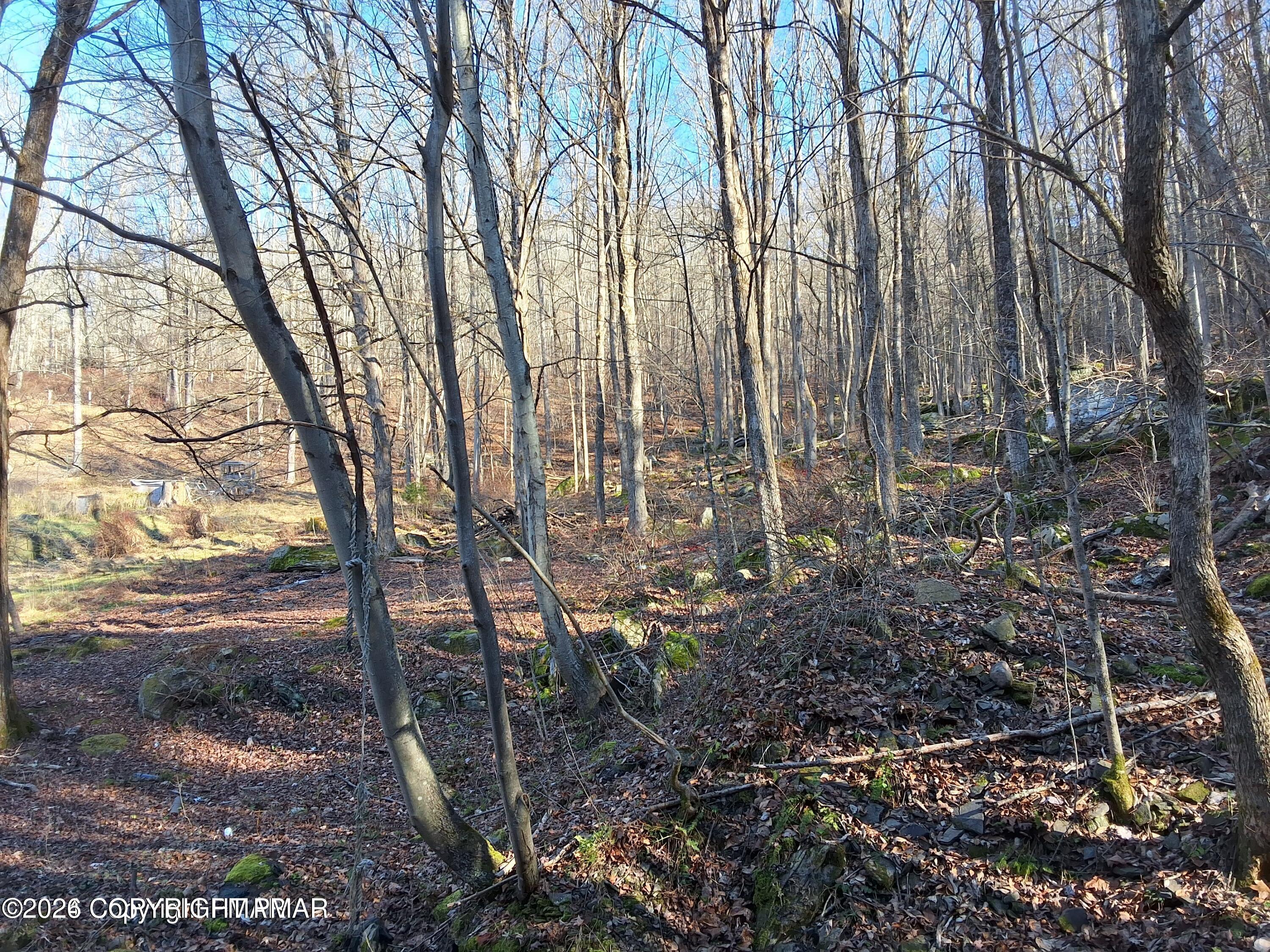 45 Grocery Hill Road Property Photo 41