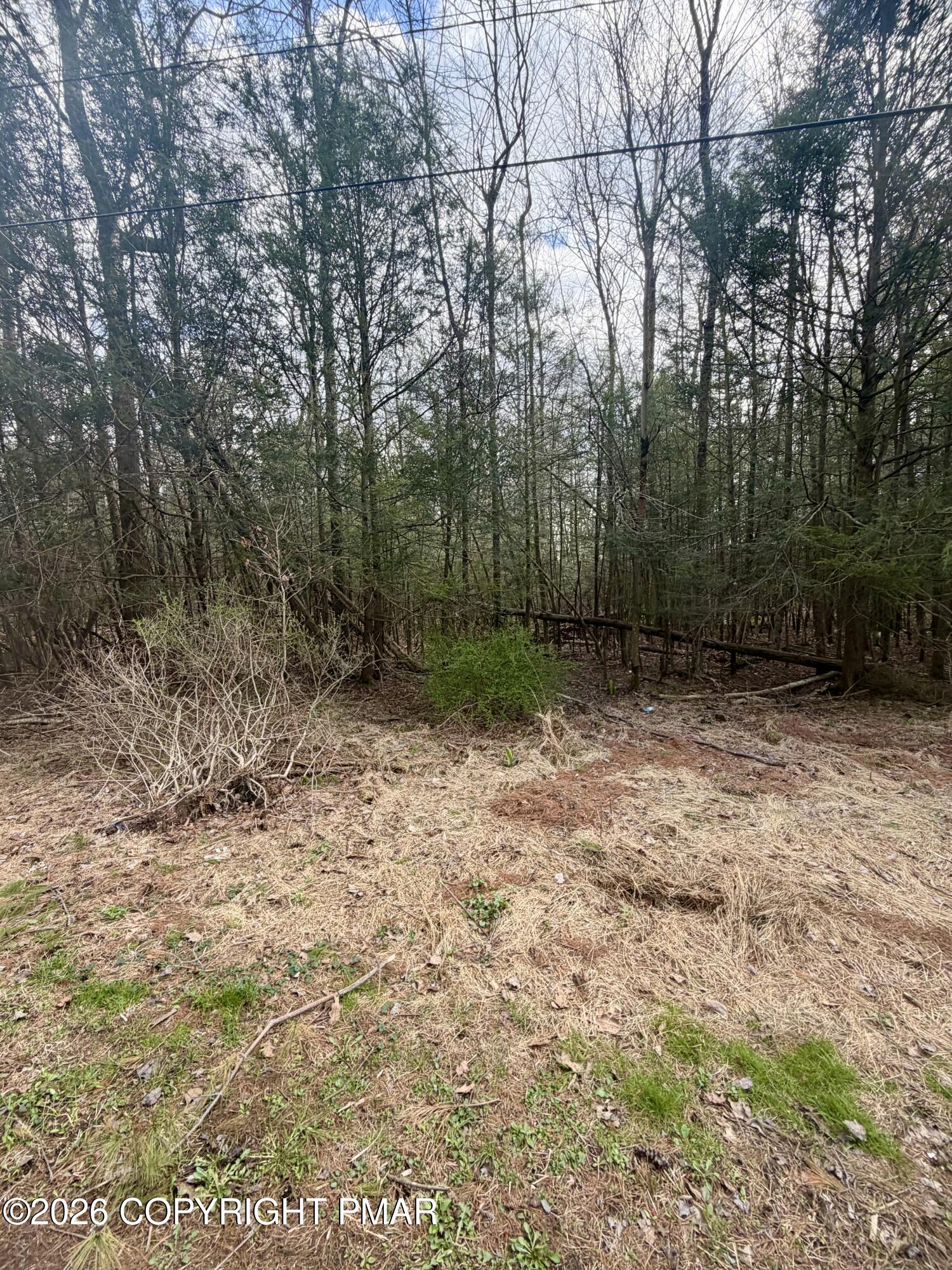 Pleasant View Dr C Drive Property Photo 6