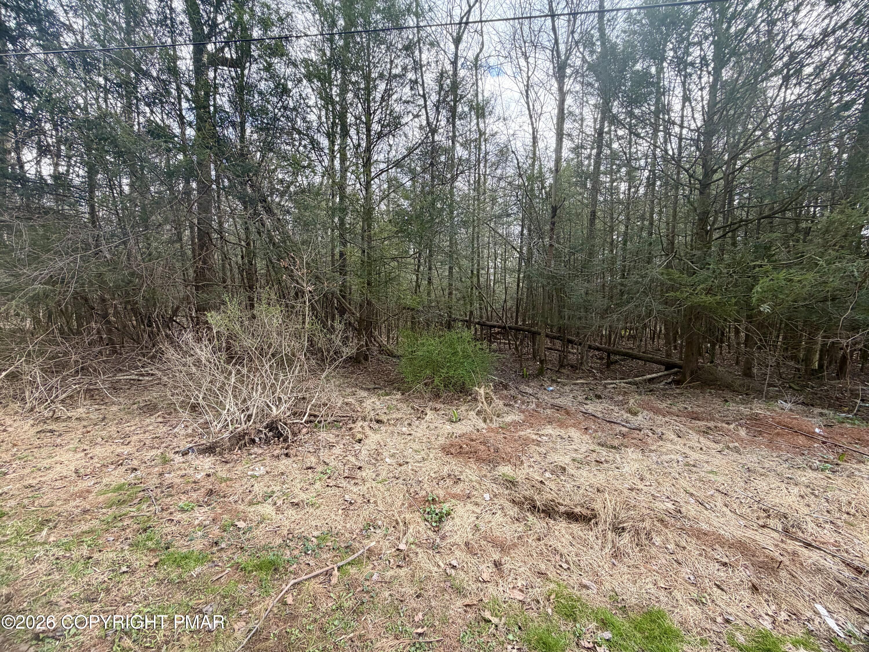 Pleasant View Dr C Drive Property Photo 7