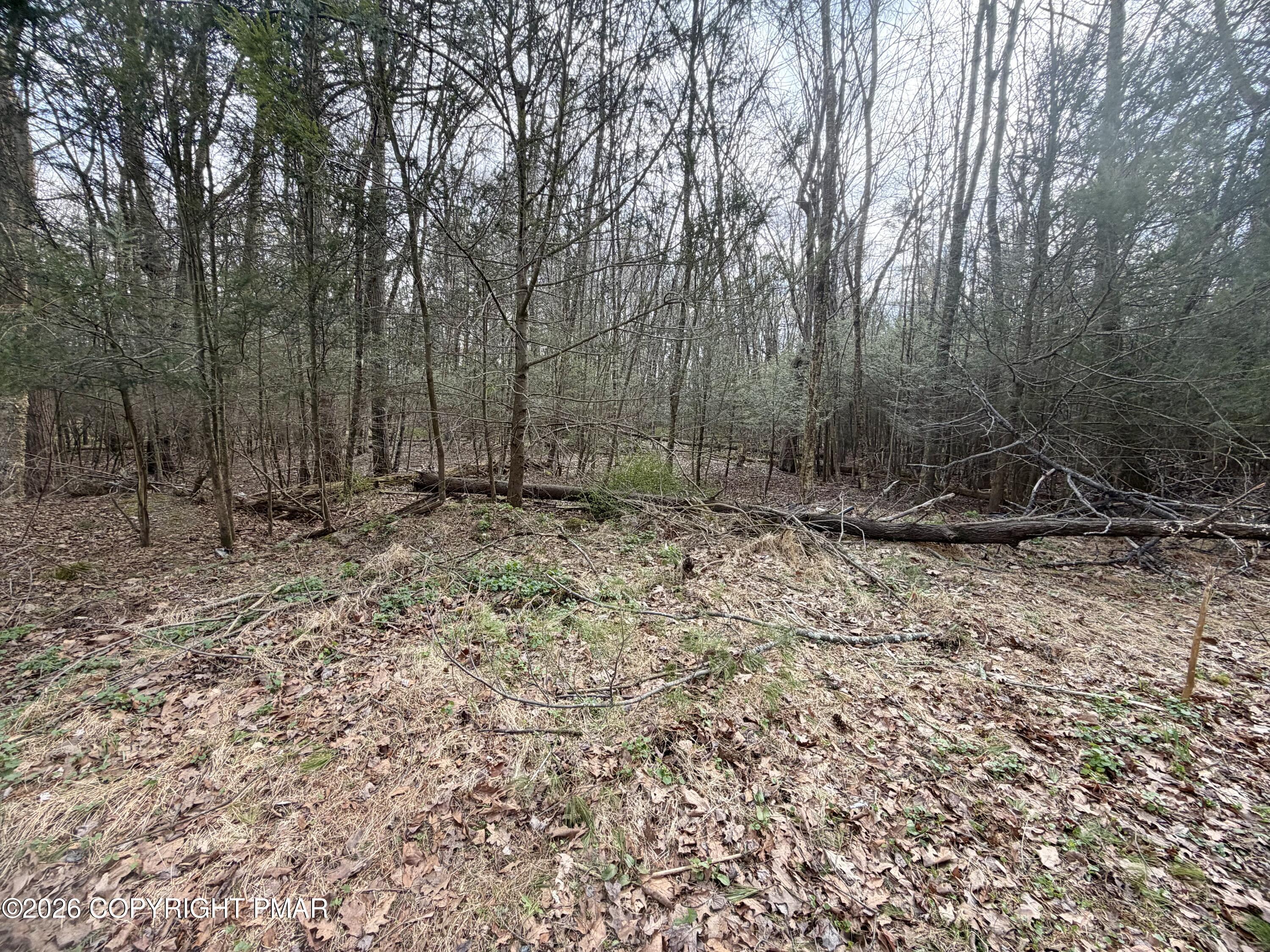 Pleasant View Dr C Drive Property Photo 6