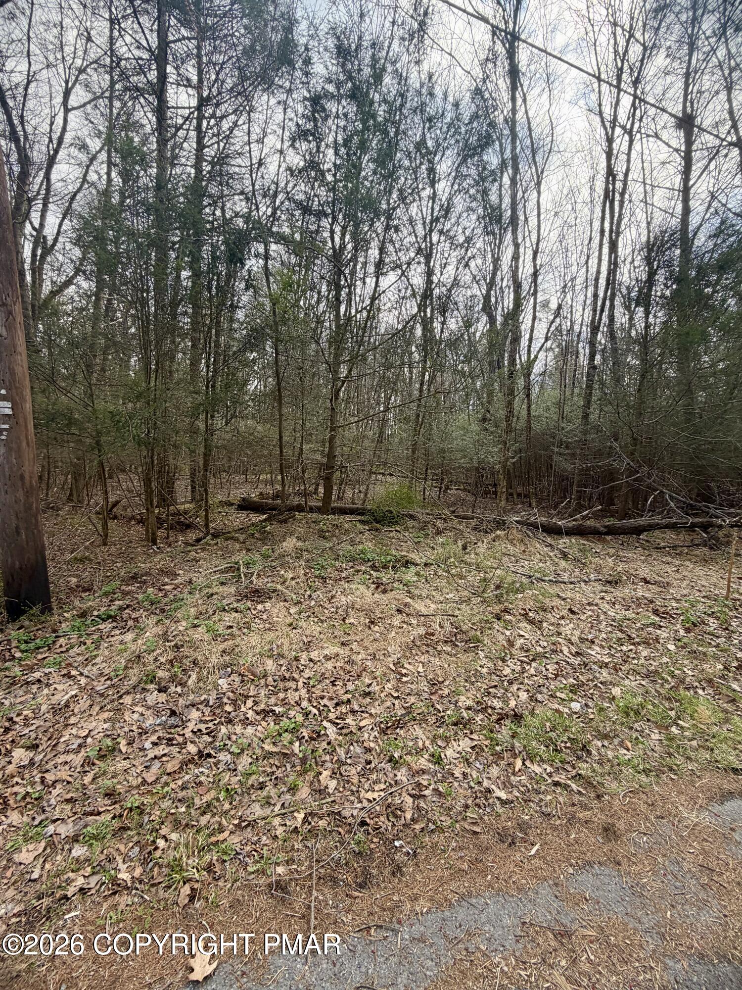 Pleasant View Dr C Drive Property Photo 7