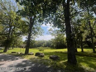0 Spruce Lane Property Photo 2