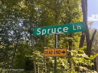 0 Spruce Lane Property Photo 5