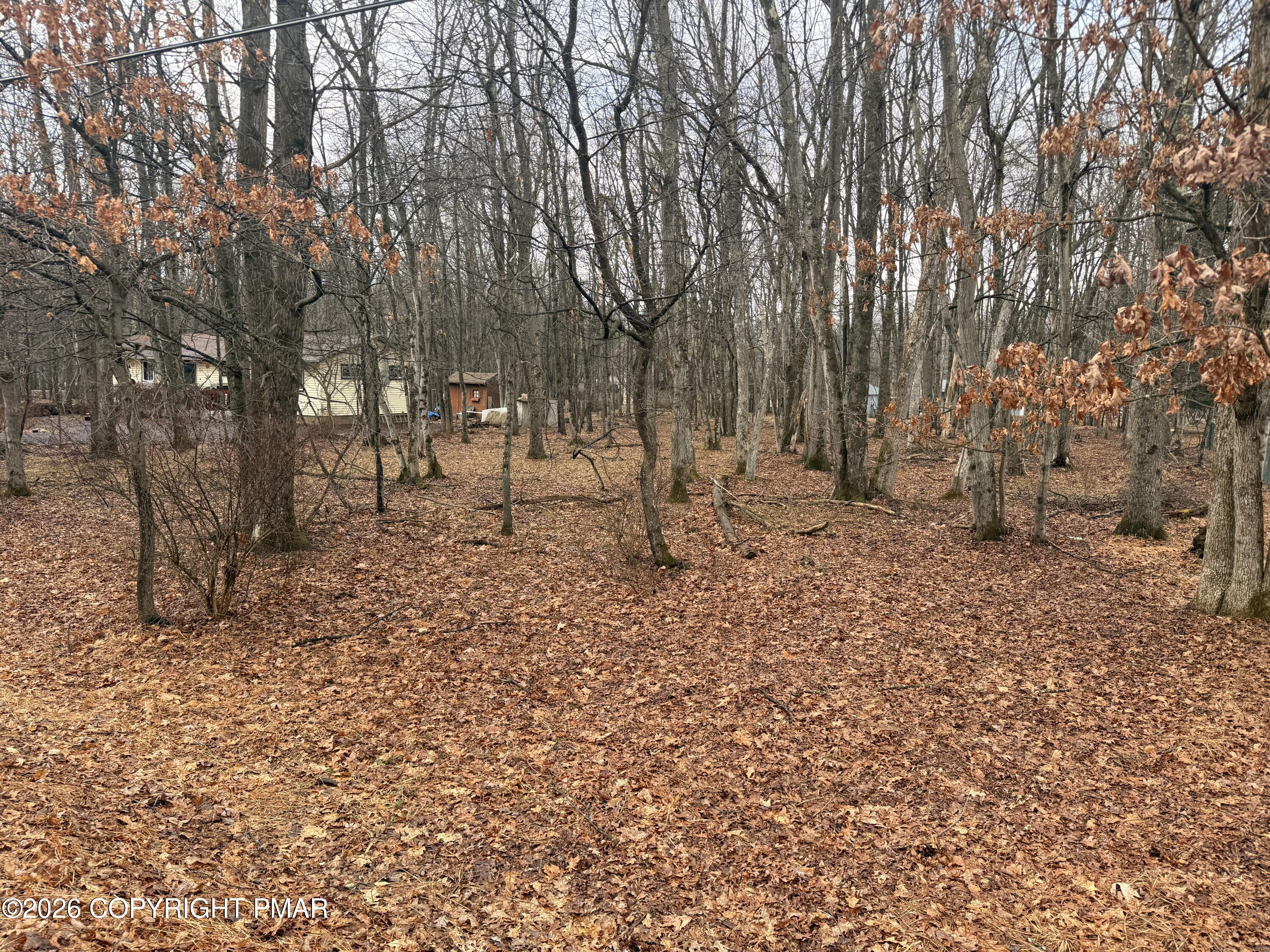 203 Foothill Road Property Photo 4