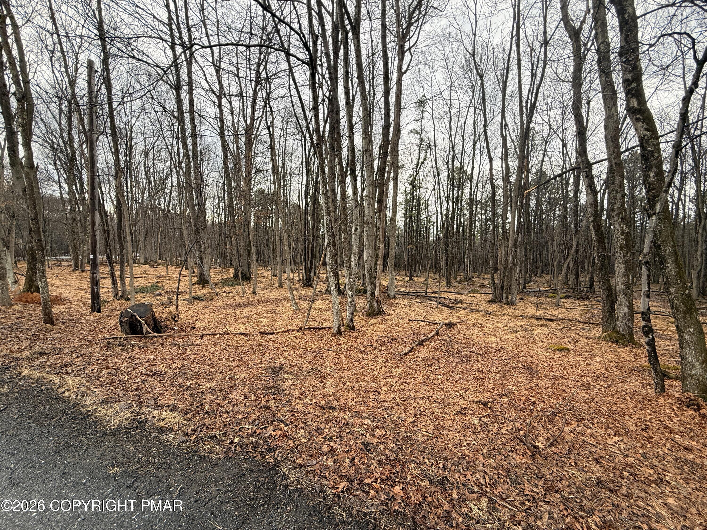 Masters Trail Property Photo 3