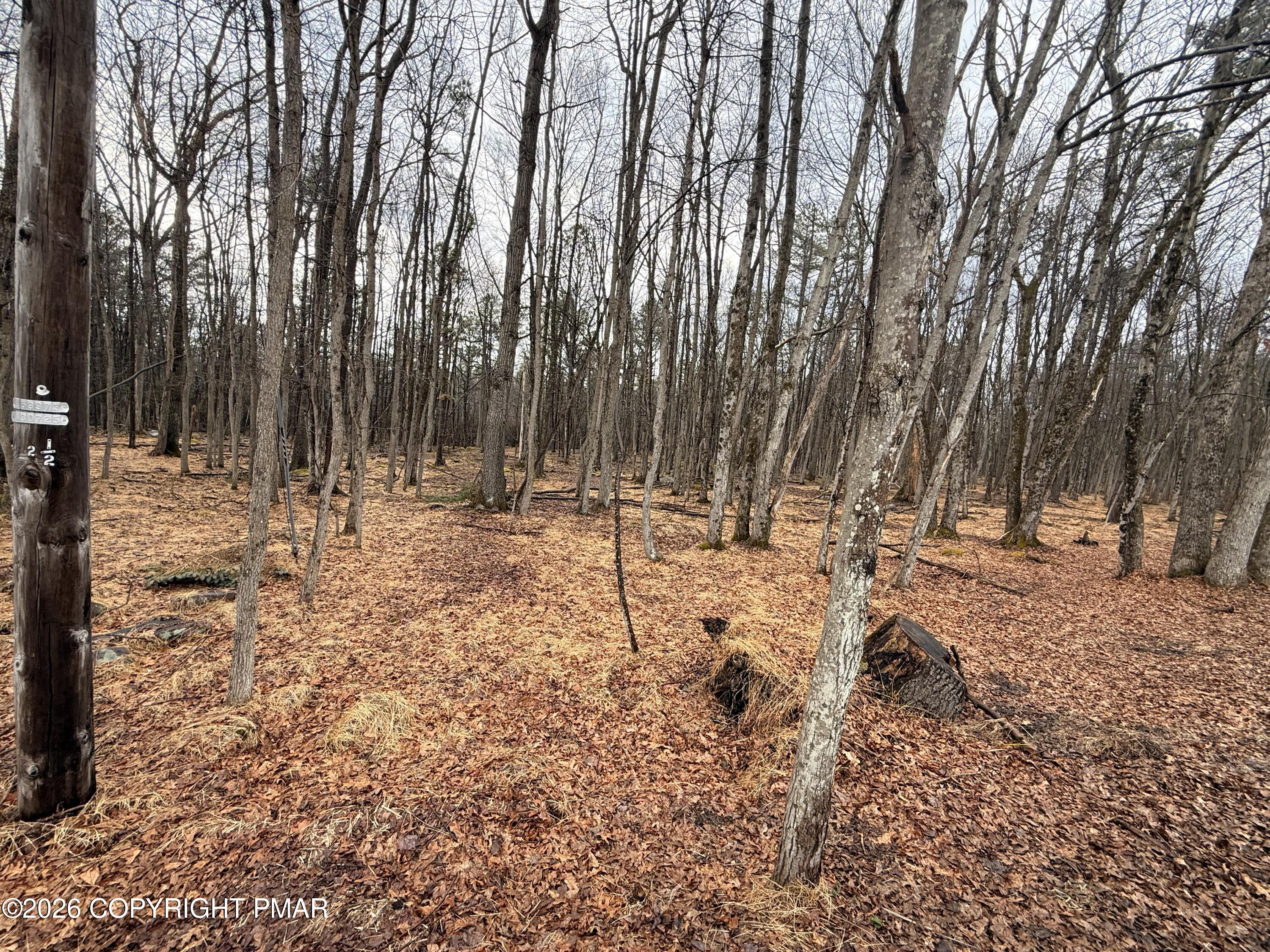 Masters Trail Property Photo 4
