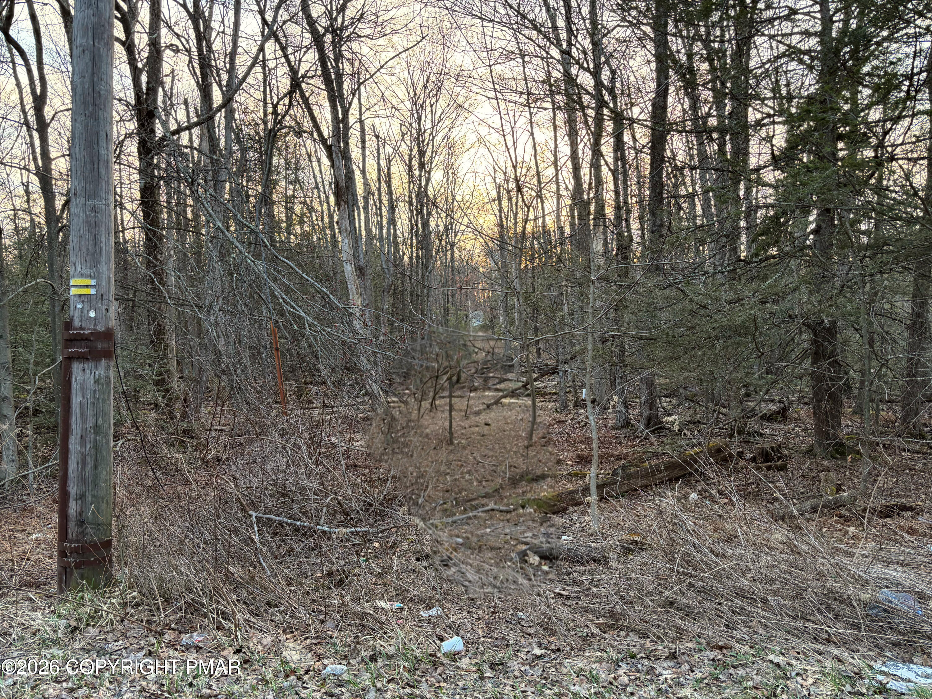 905 Jester Ct 905 Court Property Photo 1