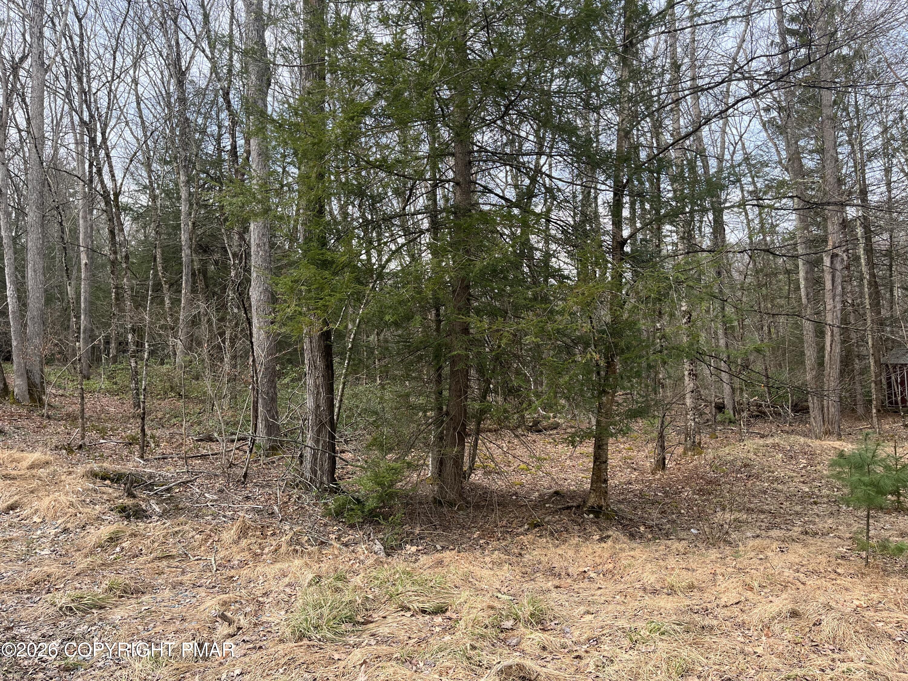 203 Pa-739 Property Photo 2