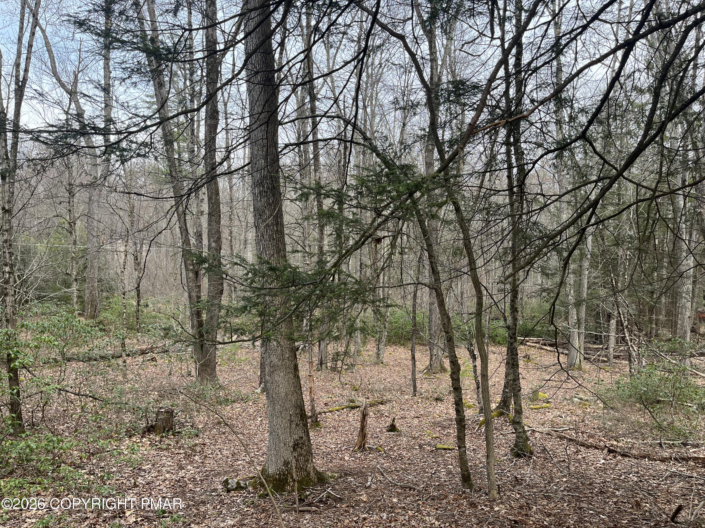 203 Pa-739 Property Photo 3