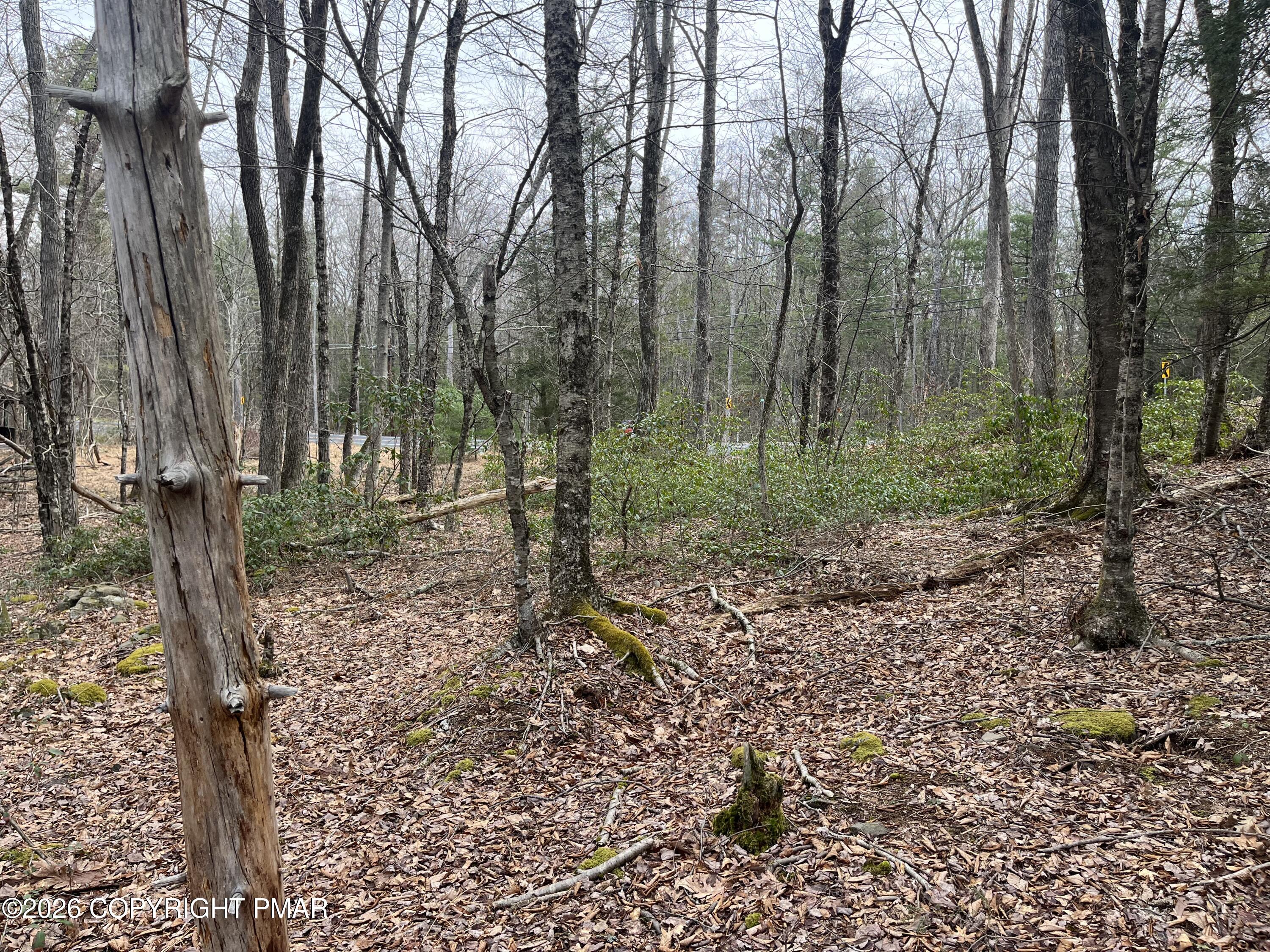 203 Pa-739 Property Photo 4