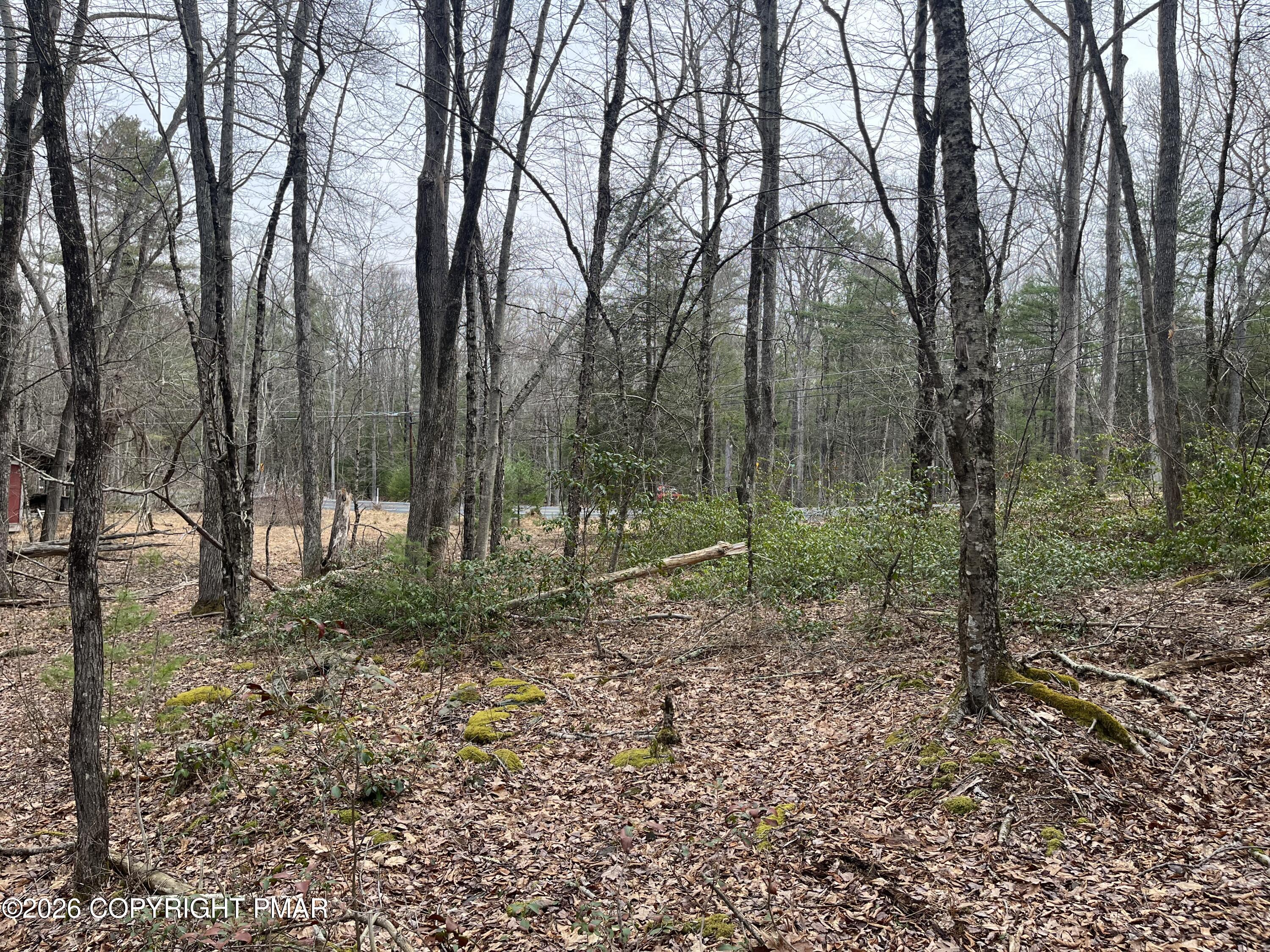 203 Pa-739 Property Photo 5