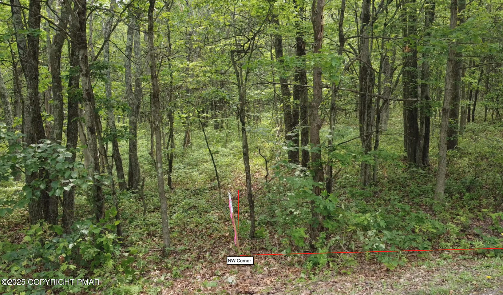 Cold Spring Drive Property Photo 5