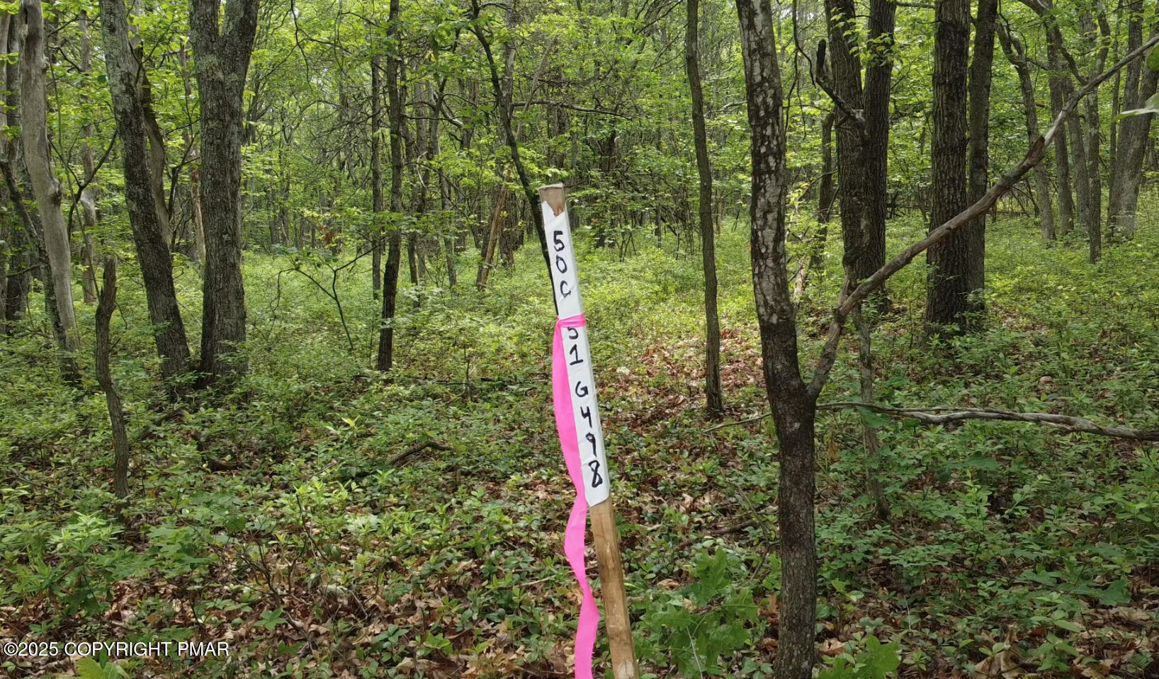 Cold Spring Drive Property Photo 6