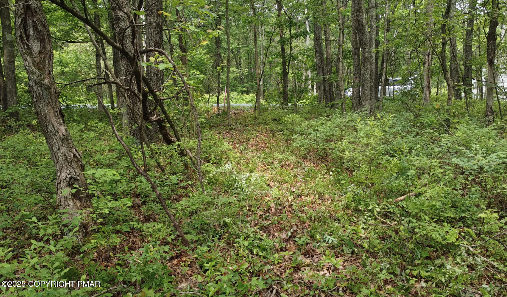 Cold Spring Drive Property Photo 7