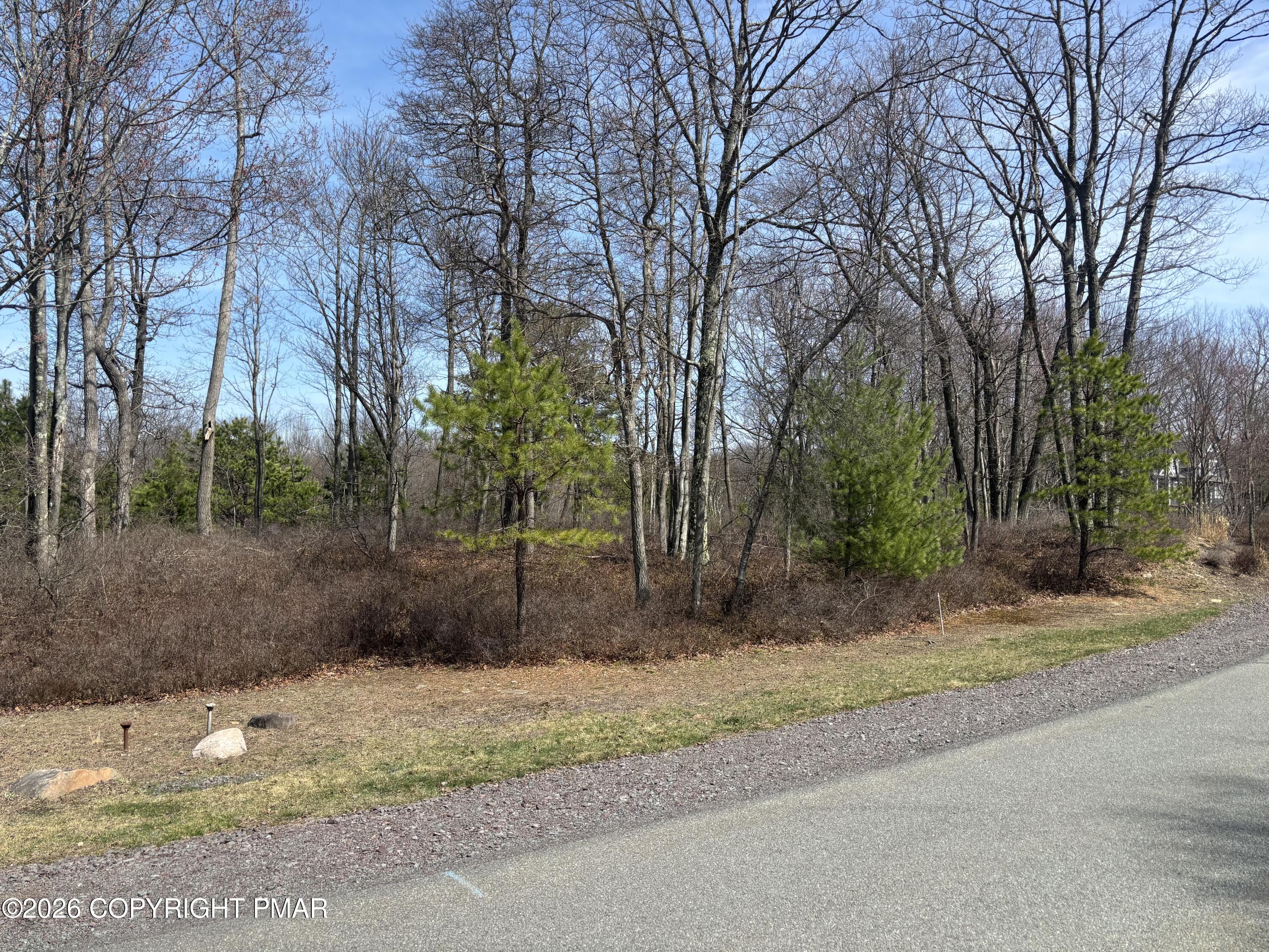 Wild Pines Dr 65a Drive Property Photo 1
