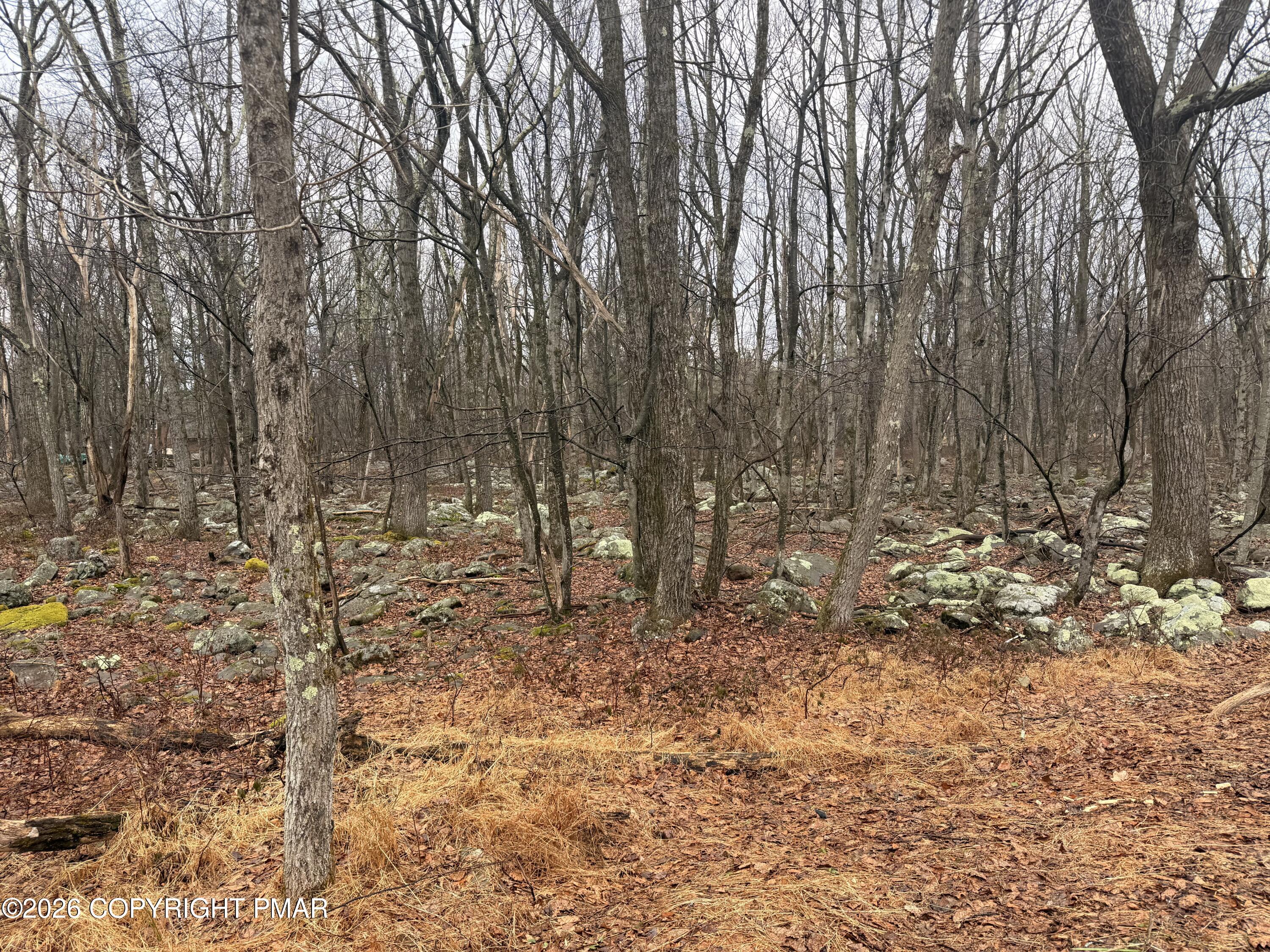 Lipo Way Property Photo 5