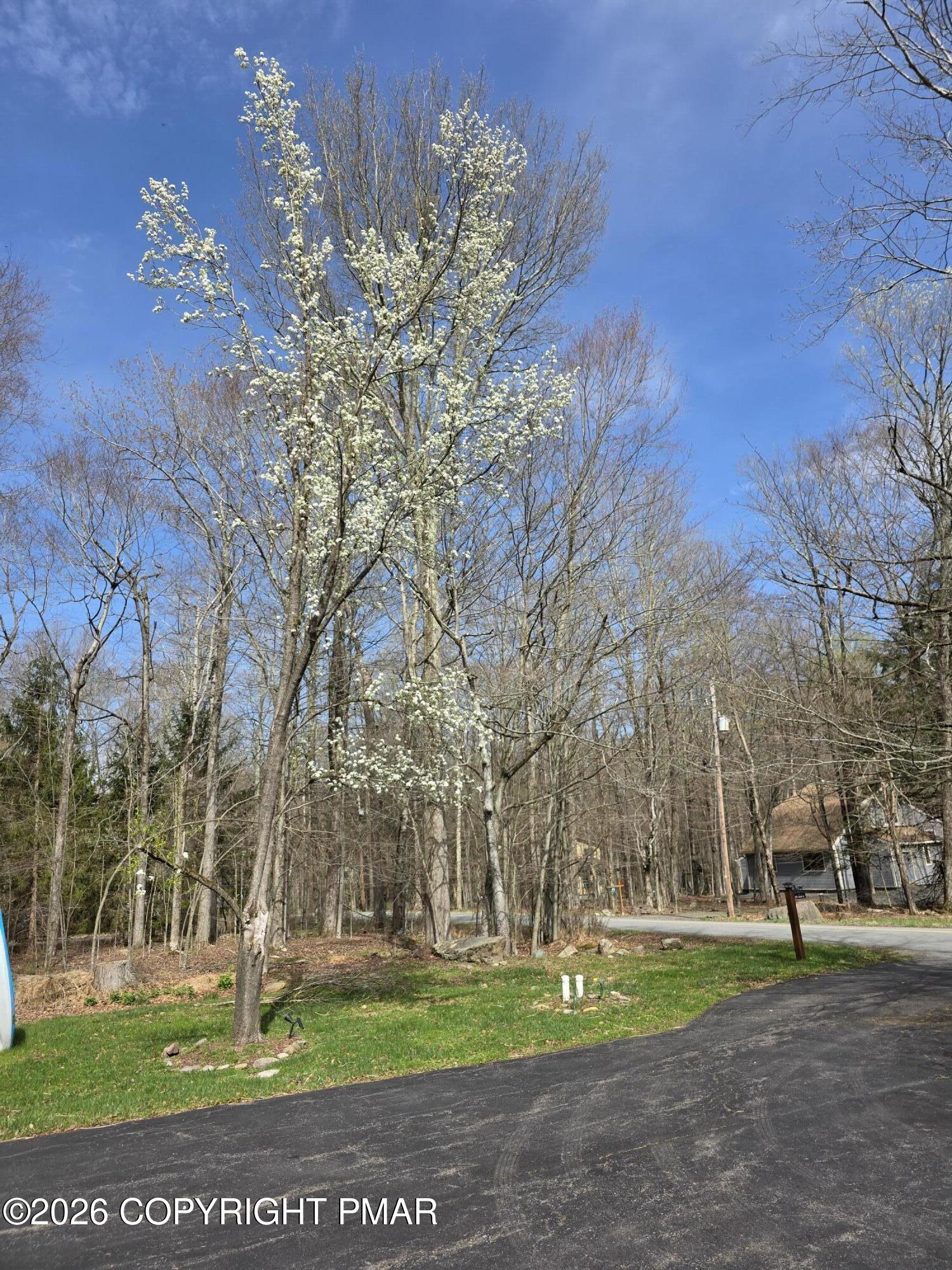 290 King Arthur Road Property Photo 9